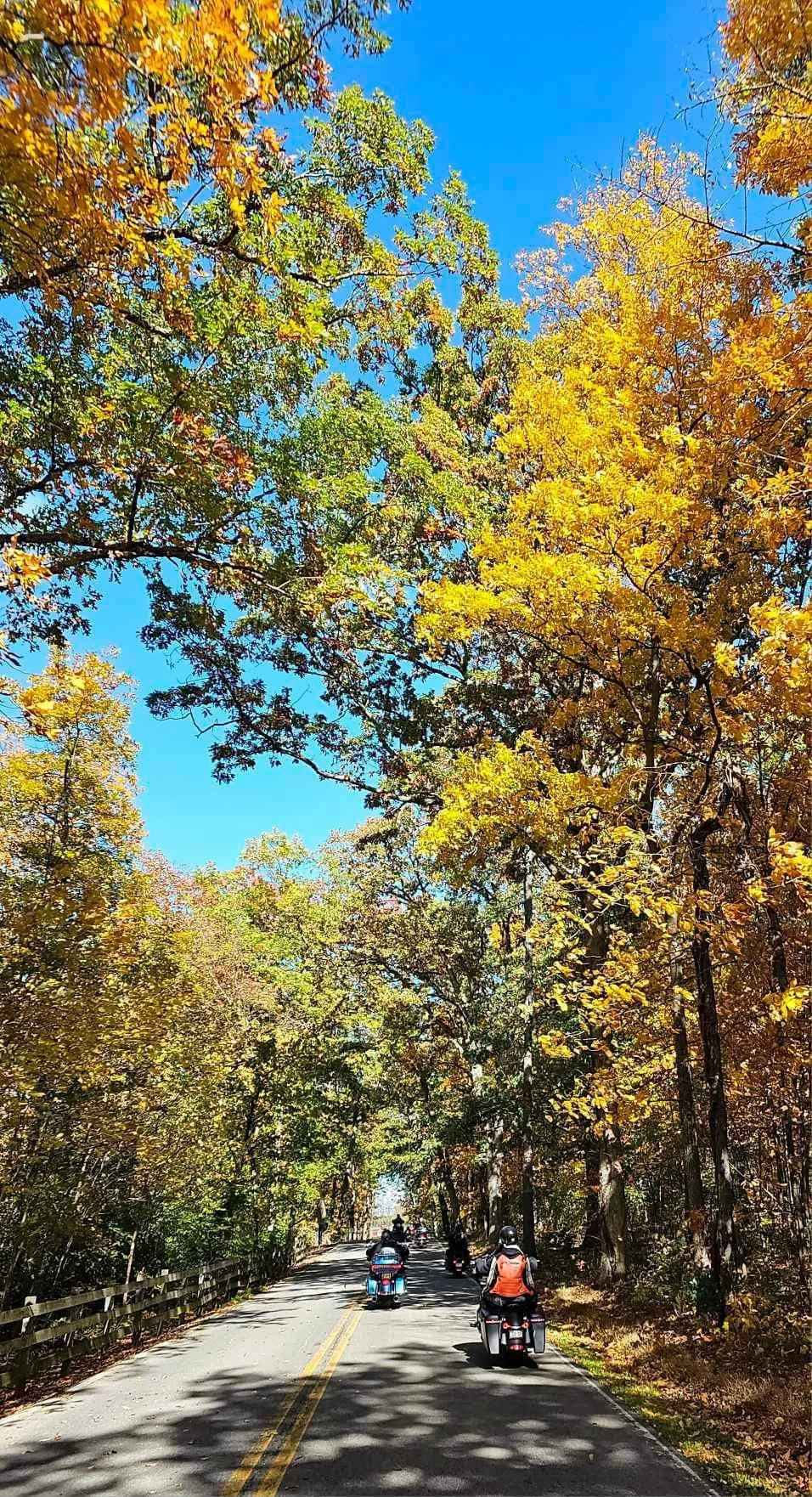 drf covered bridge run 82.jpeg