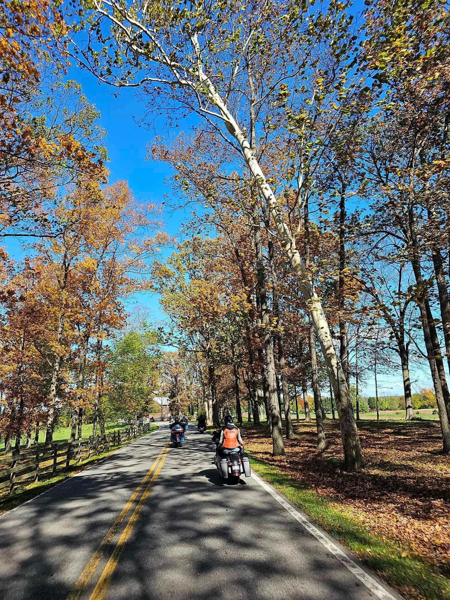 drf covered bridge run 84.jpeg