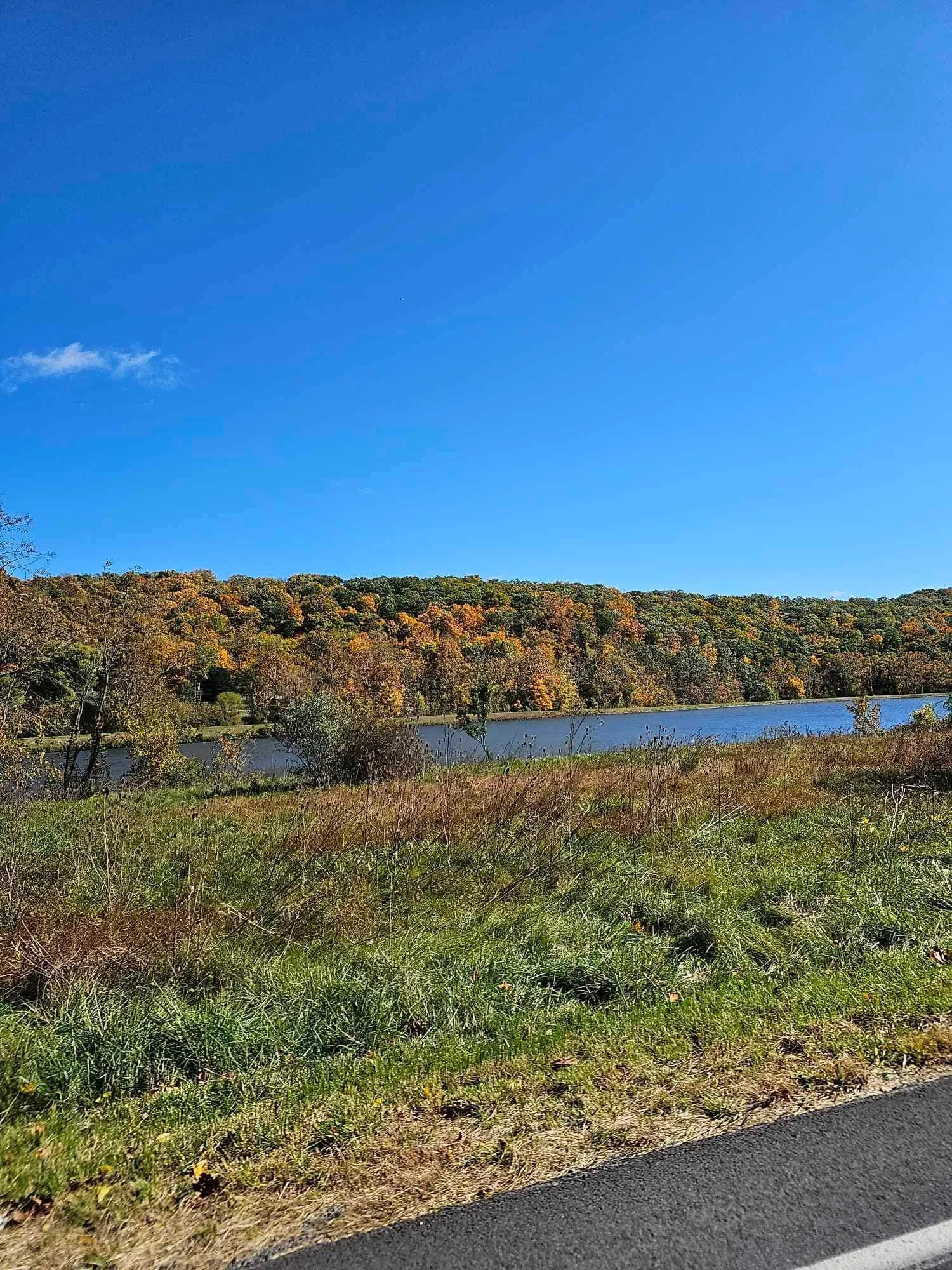 drf covered bridge run 91.jpeg