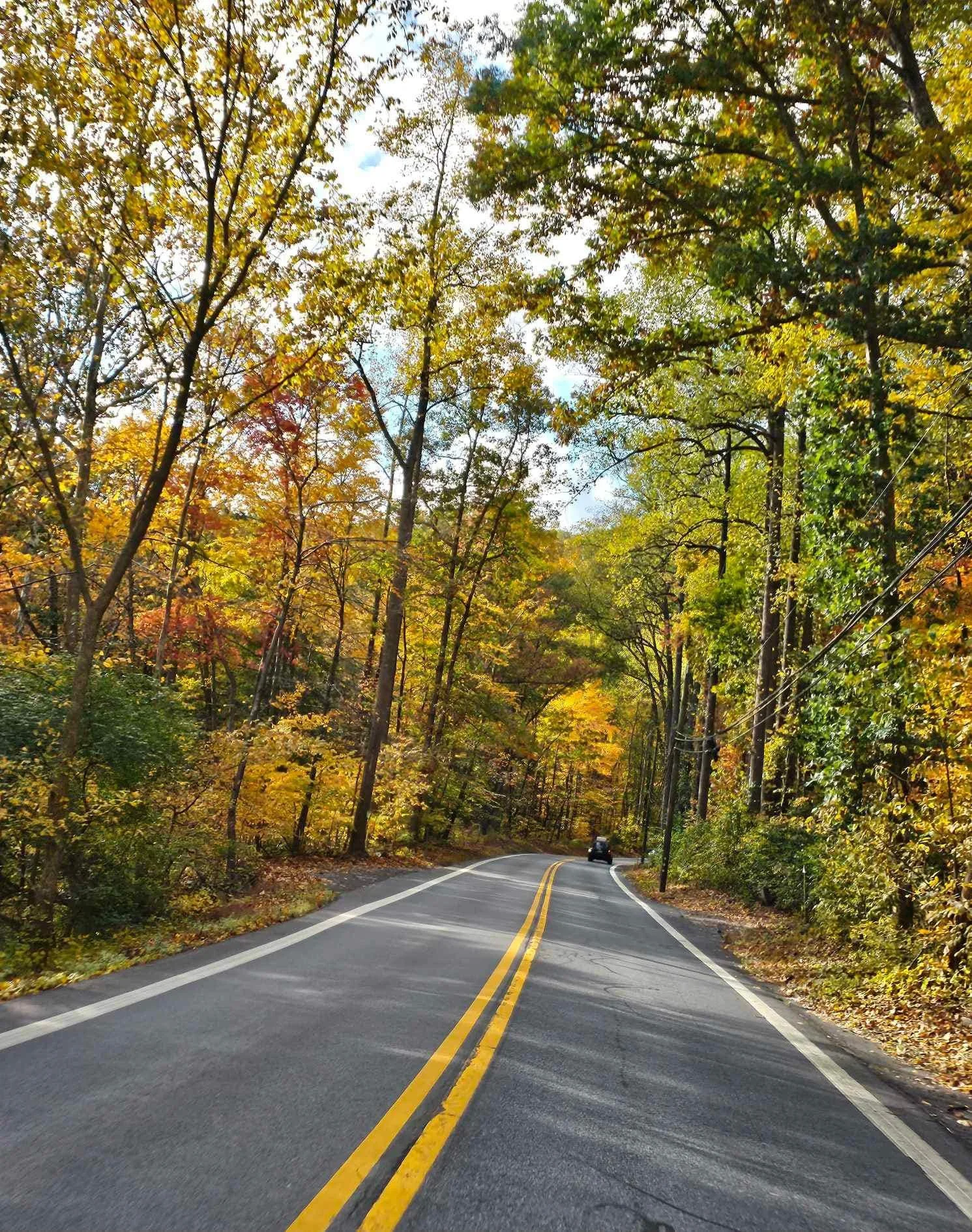 drf covered bridge run 2023 5.jpeg