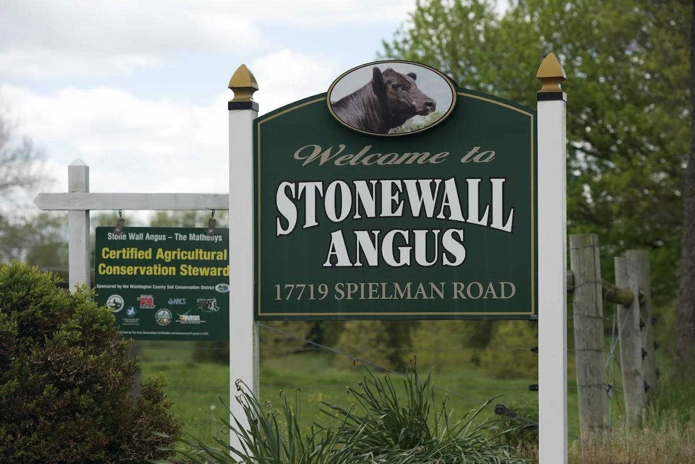 stone wall angus logo.jpeg