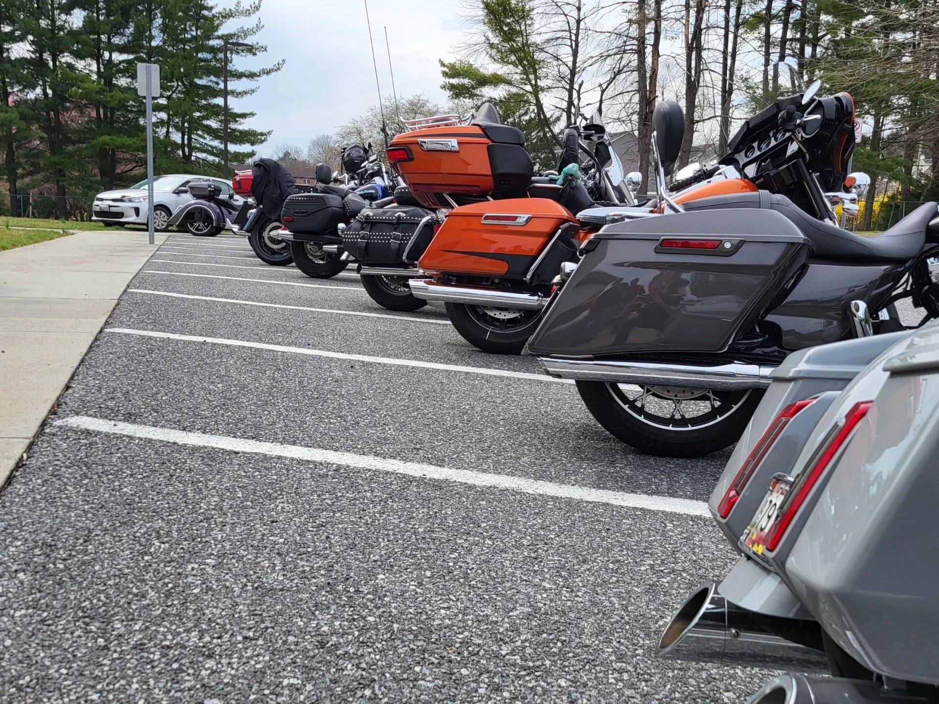 DRF Money Raffle 2025 43.jpeg