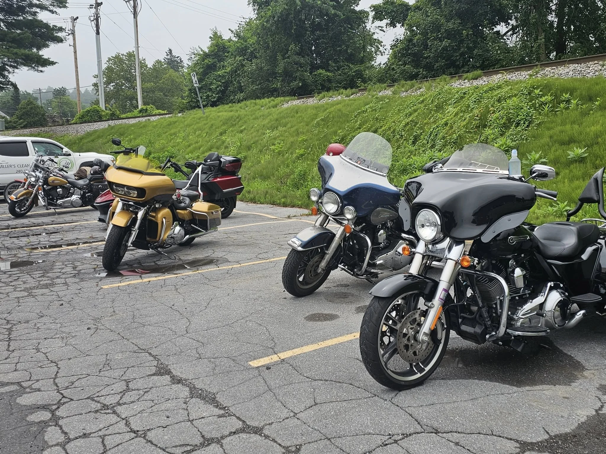 DRF Scenic Run 2025 14.jpeg