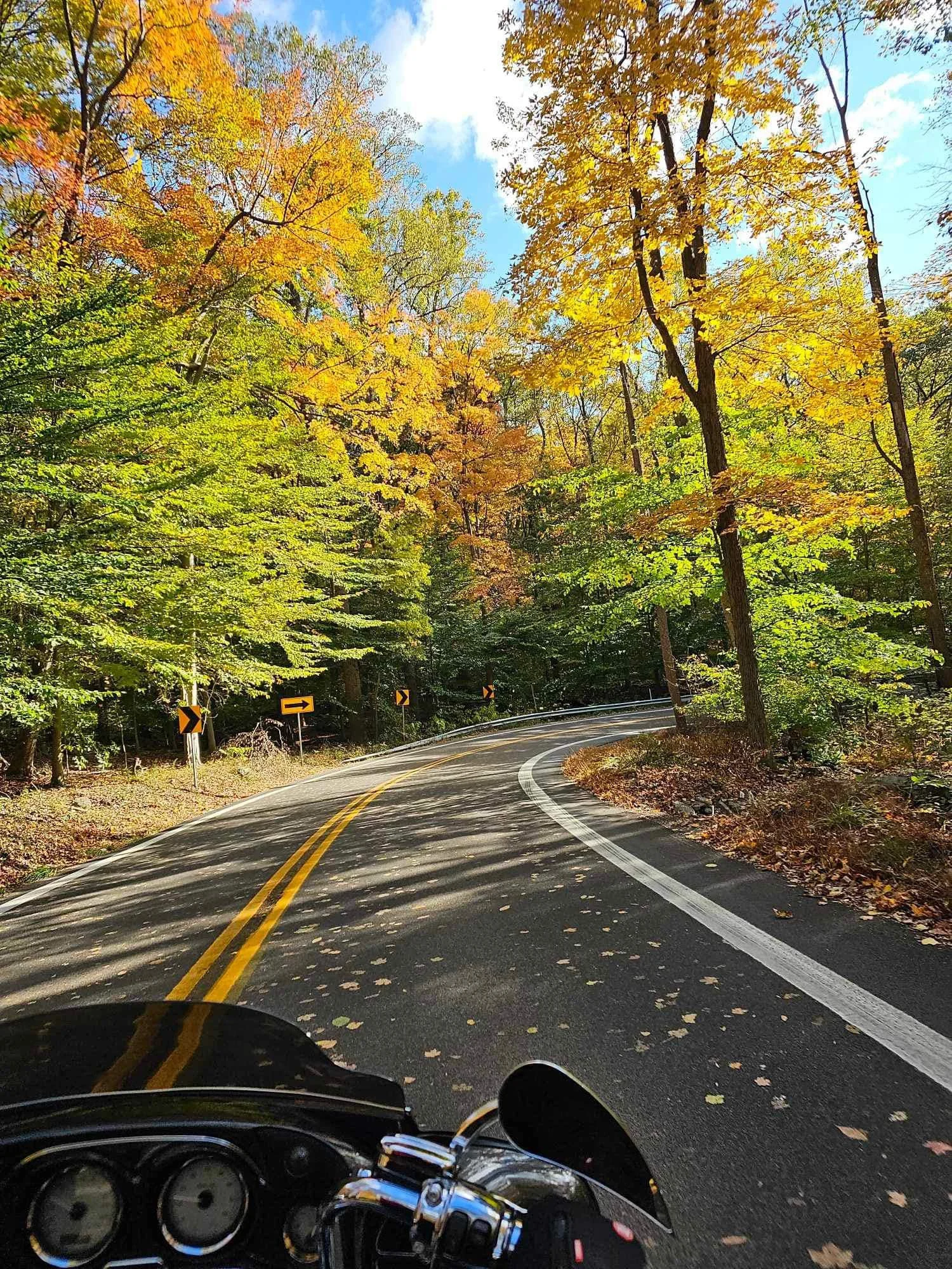 drf covered bridge run 2023 3.jpeg