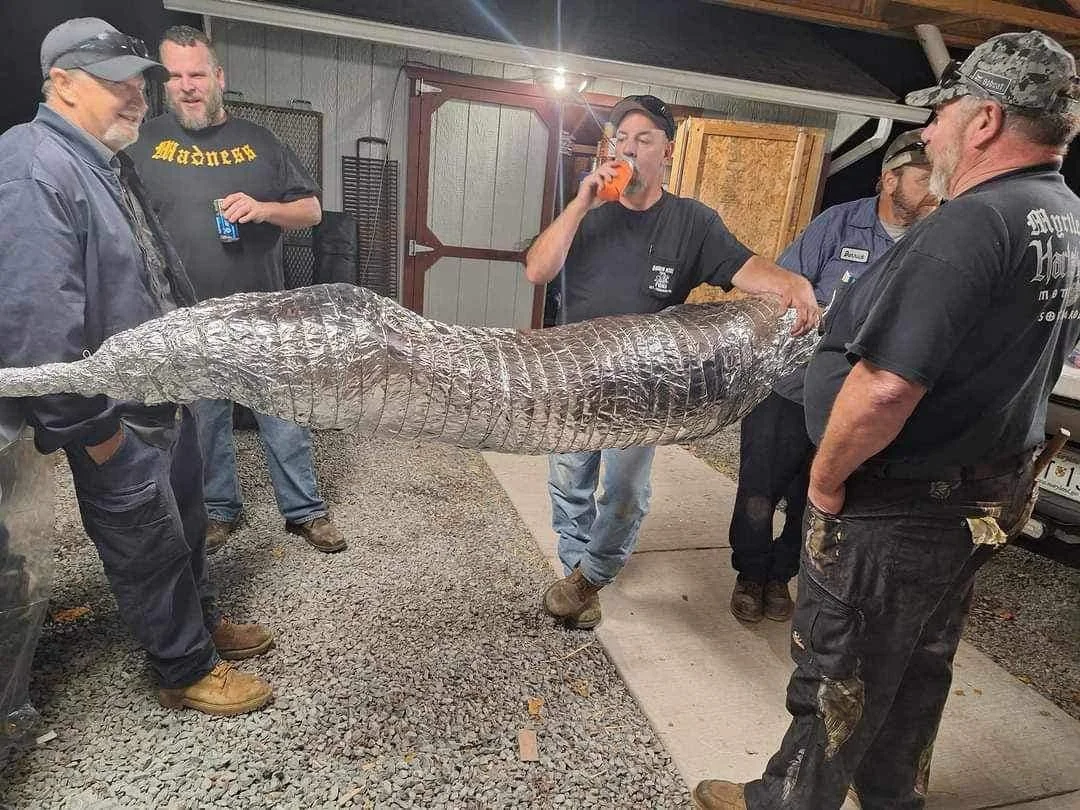 drf pig roast 2023 6 .jpeg