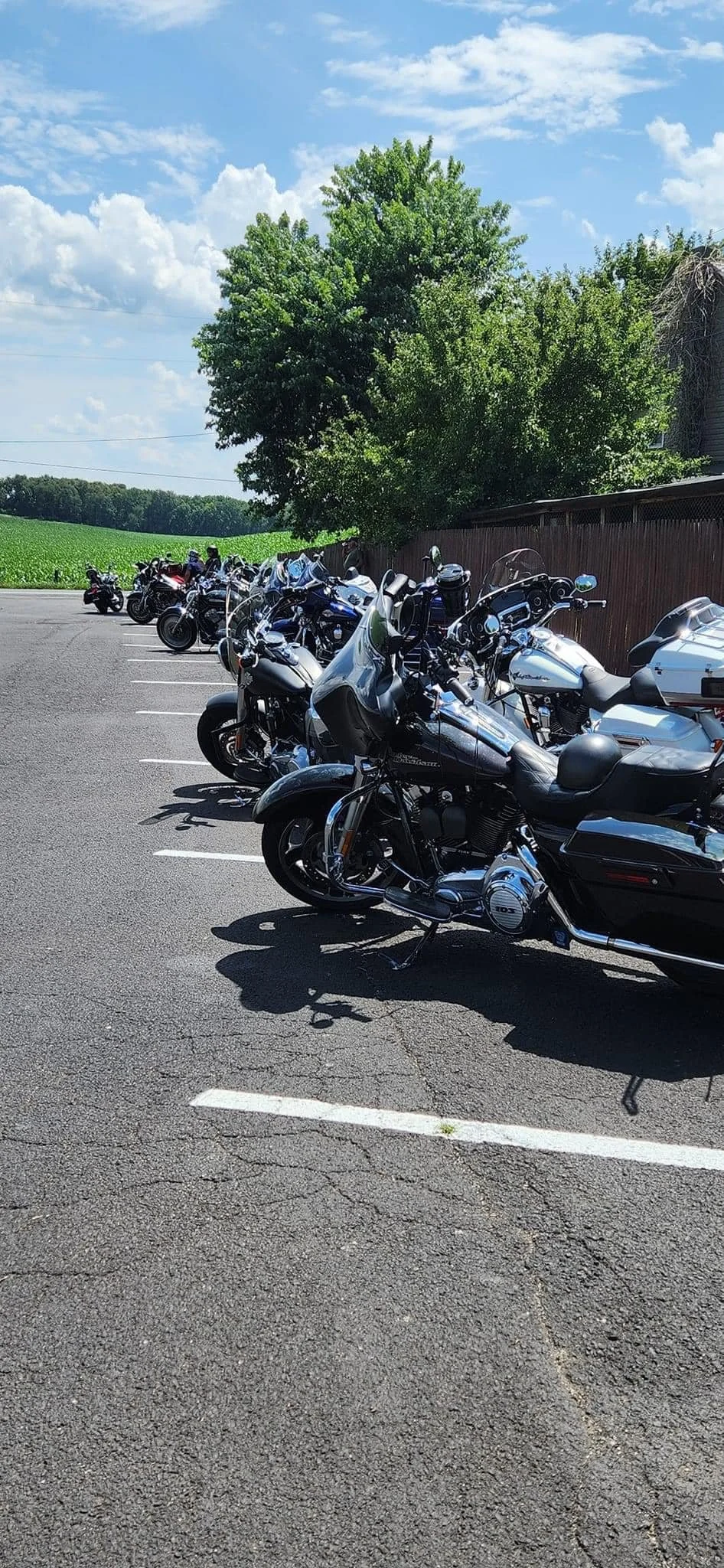 2023 DRF Scenic Run 161.jpeg