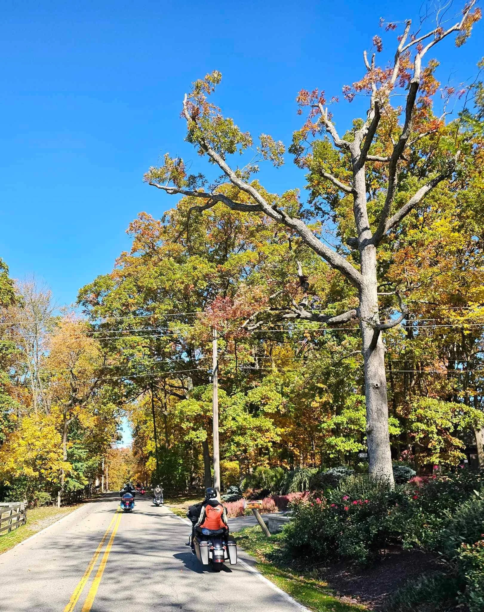 drf covered bridge run 81.jpeg