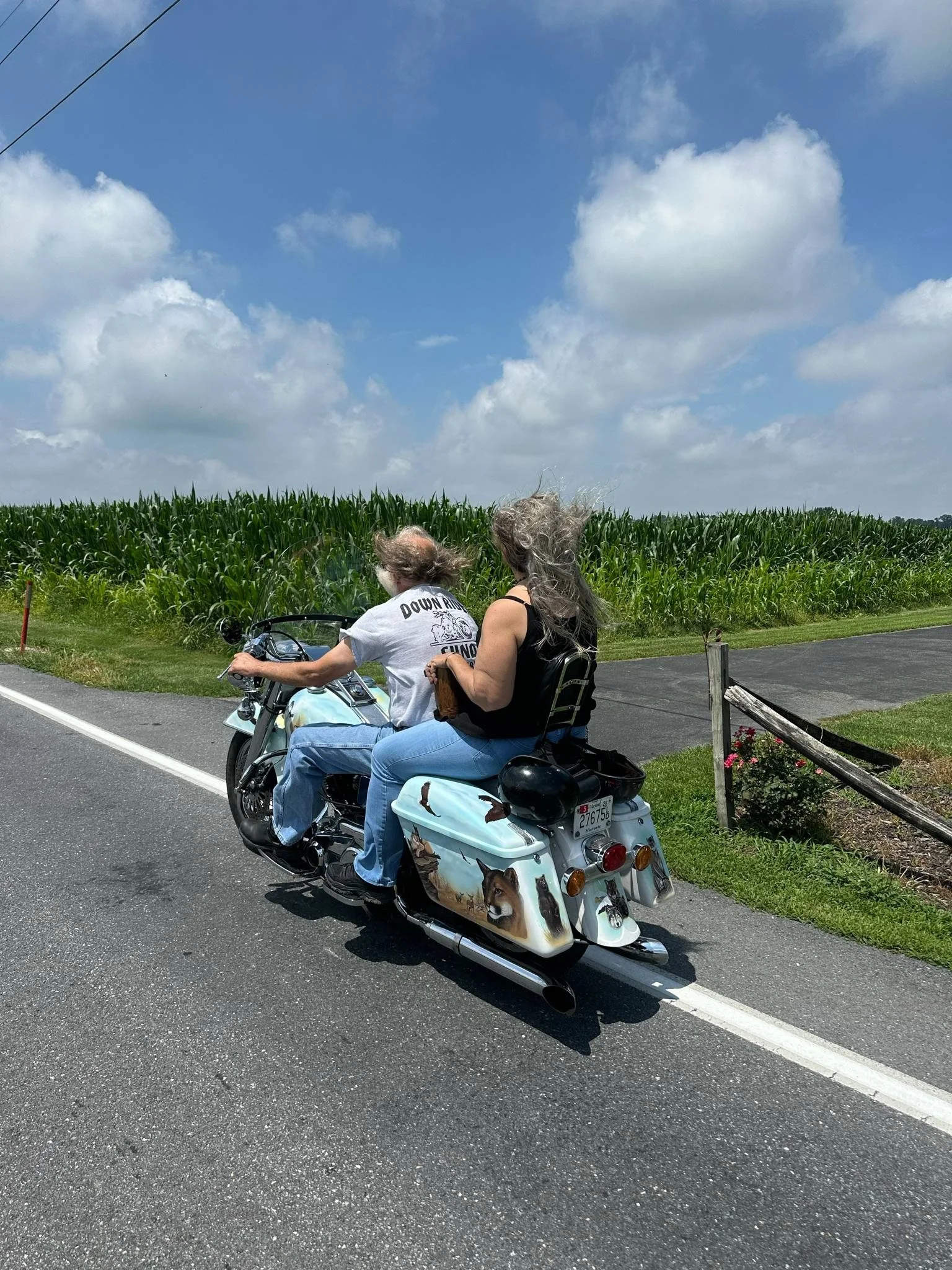 DRF Scenic Run 2025 81.jpeg