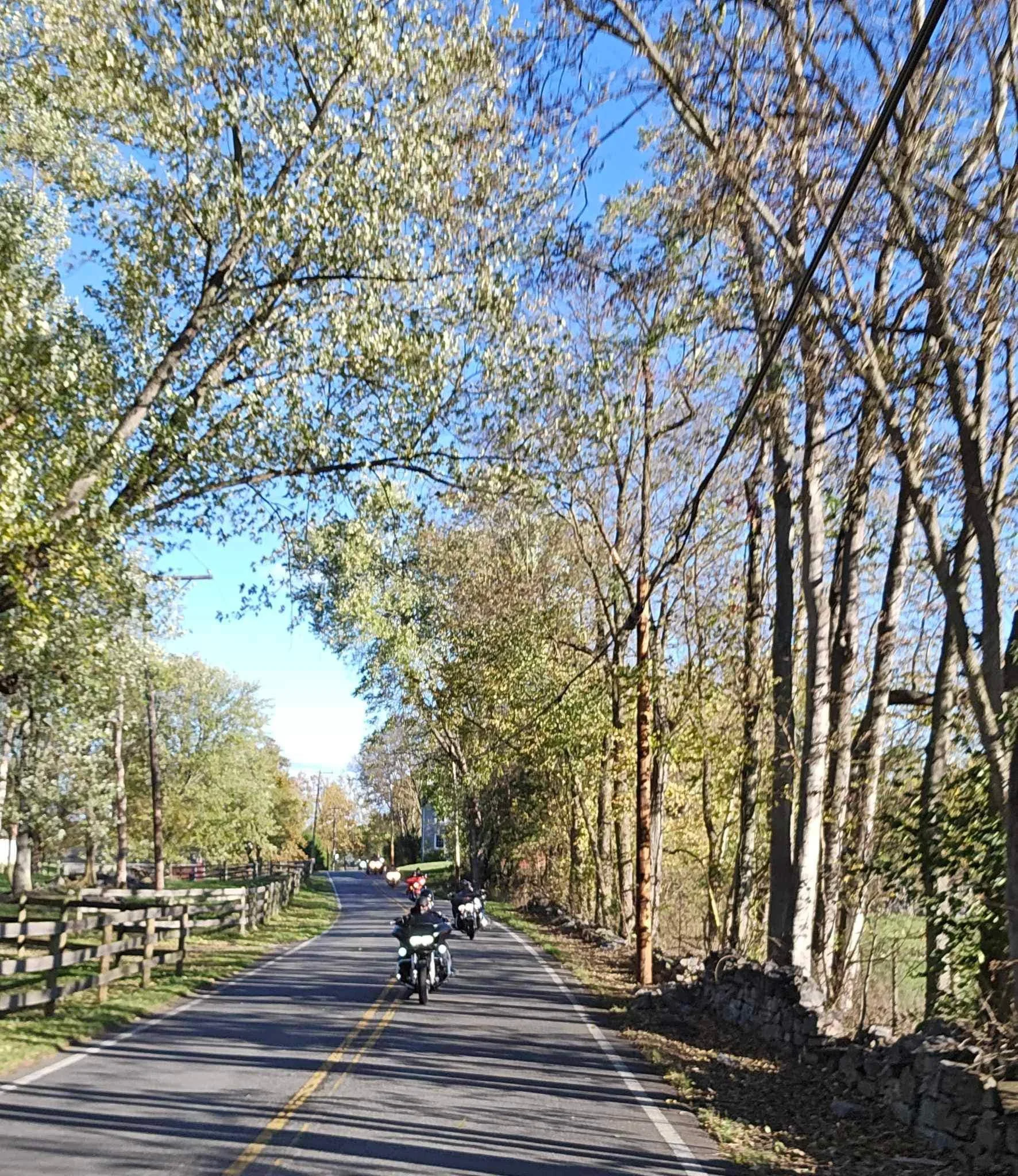 drf covered bridge run 186.jpeg