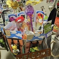 DRF Money Bonanza 2024 6.jpg