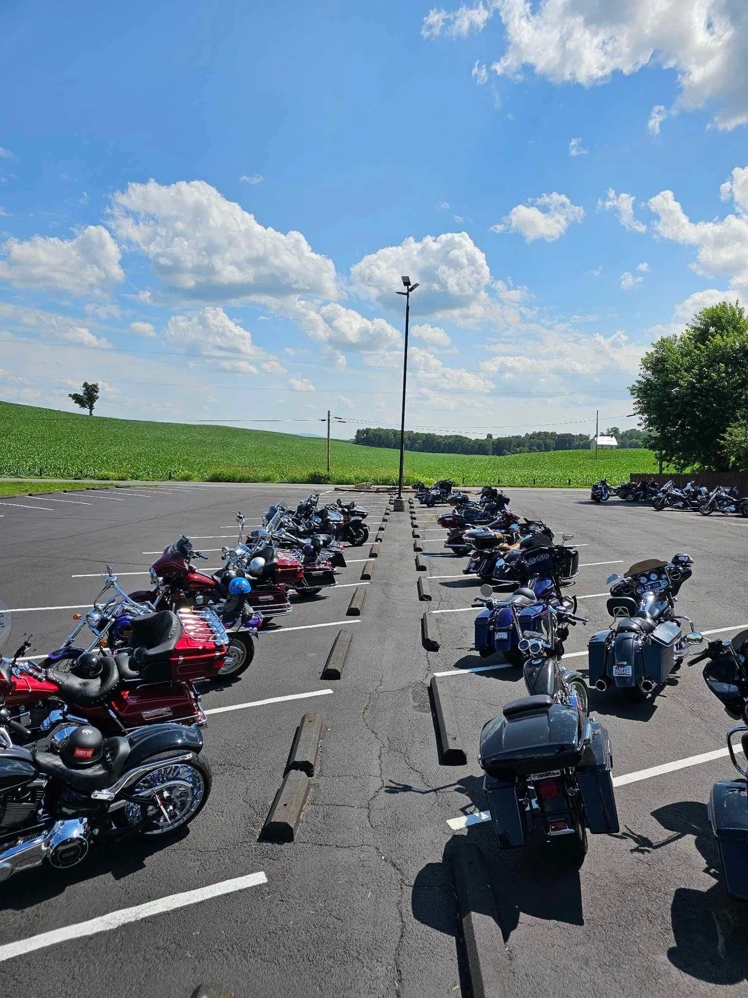 2023 DRF Scenic Run 47.jpeg