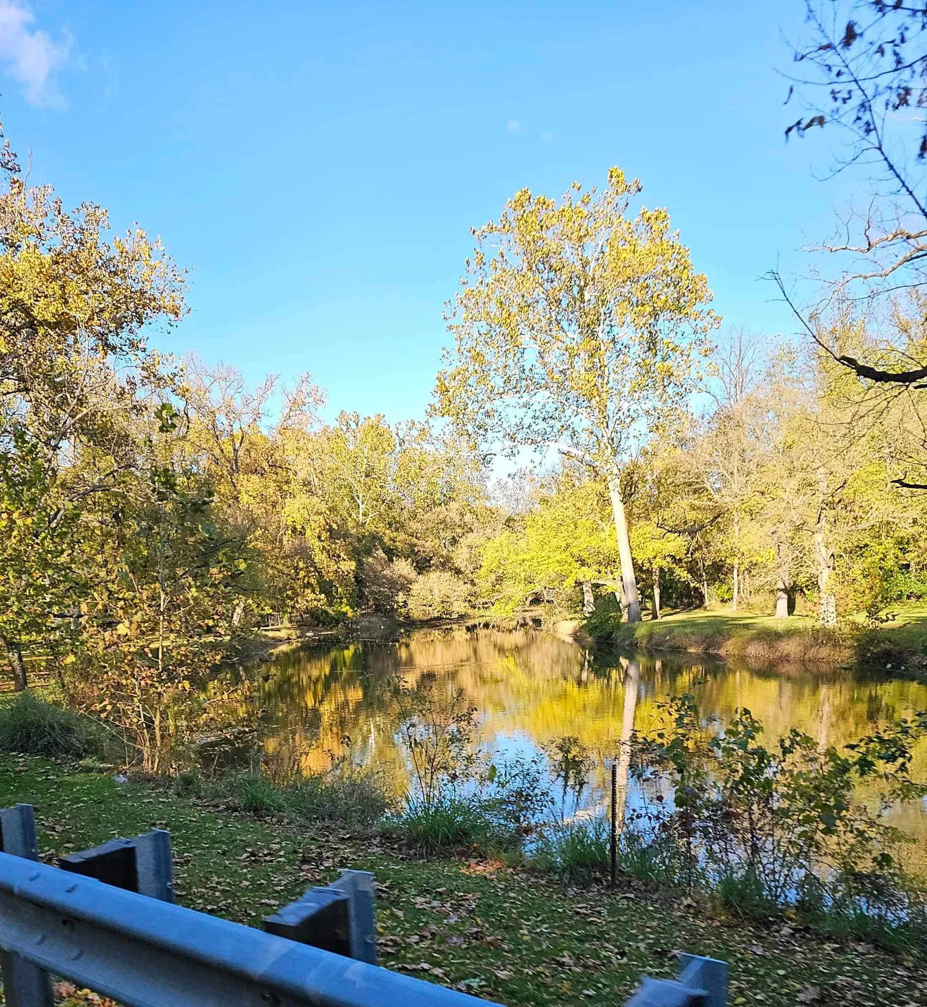 drf covered bridge run 181.jpeg