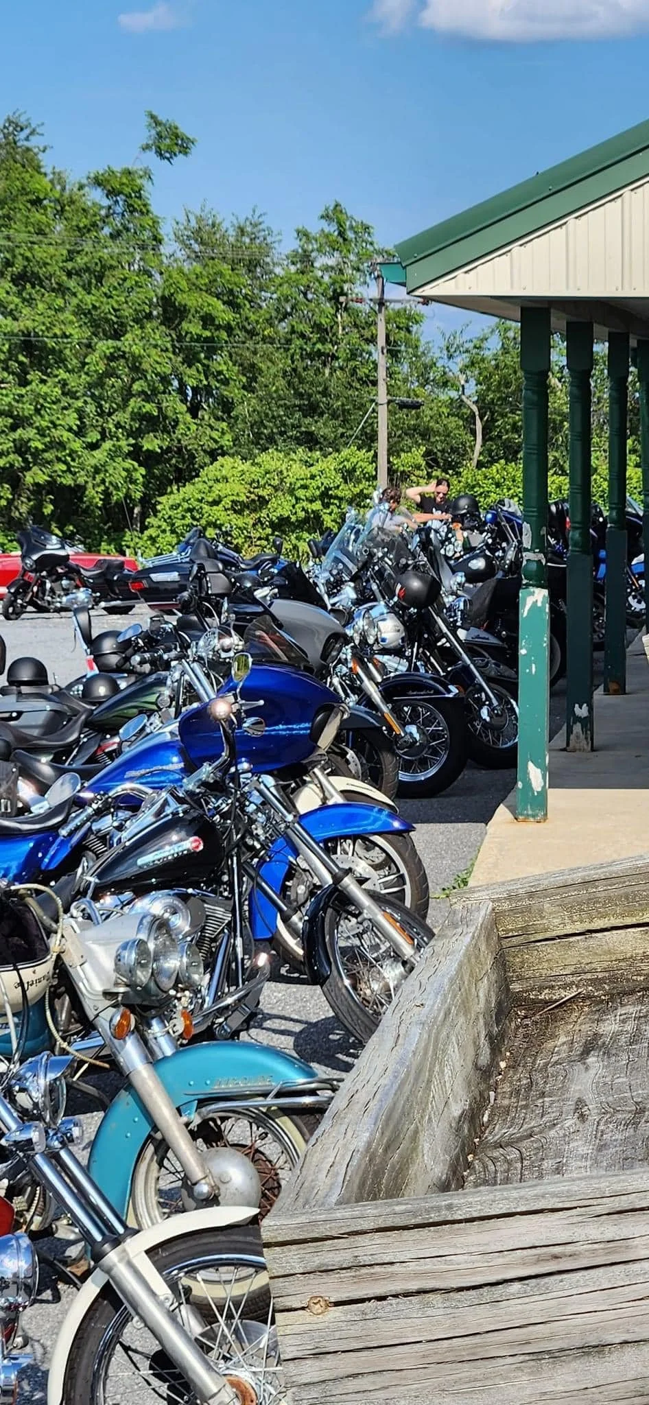 2023 DRF Scenic Run 107.jpeg