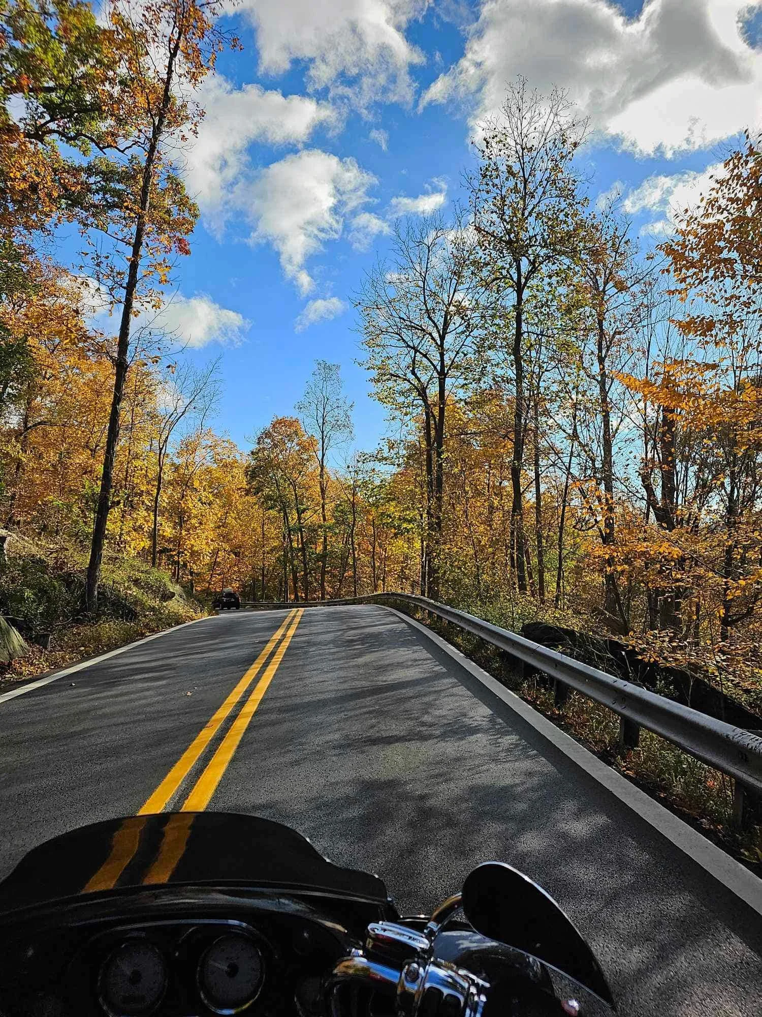 drf covered bridge run 2023 2.jpeg