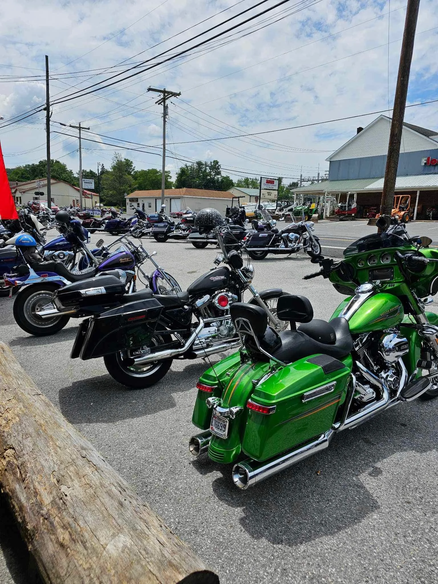 2023 DRF Scenic Run 7.jpeg