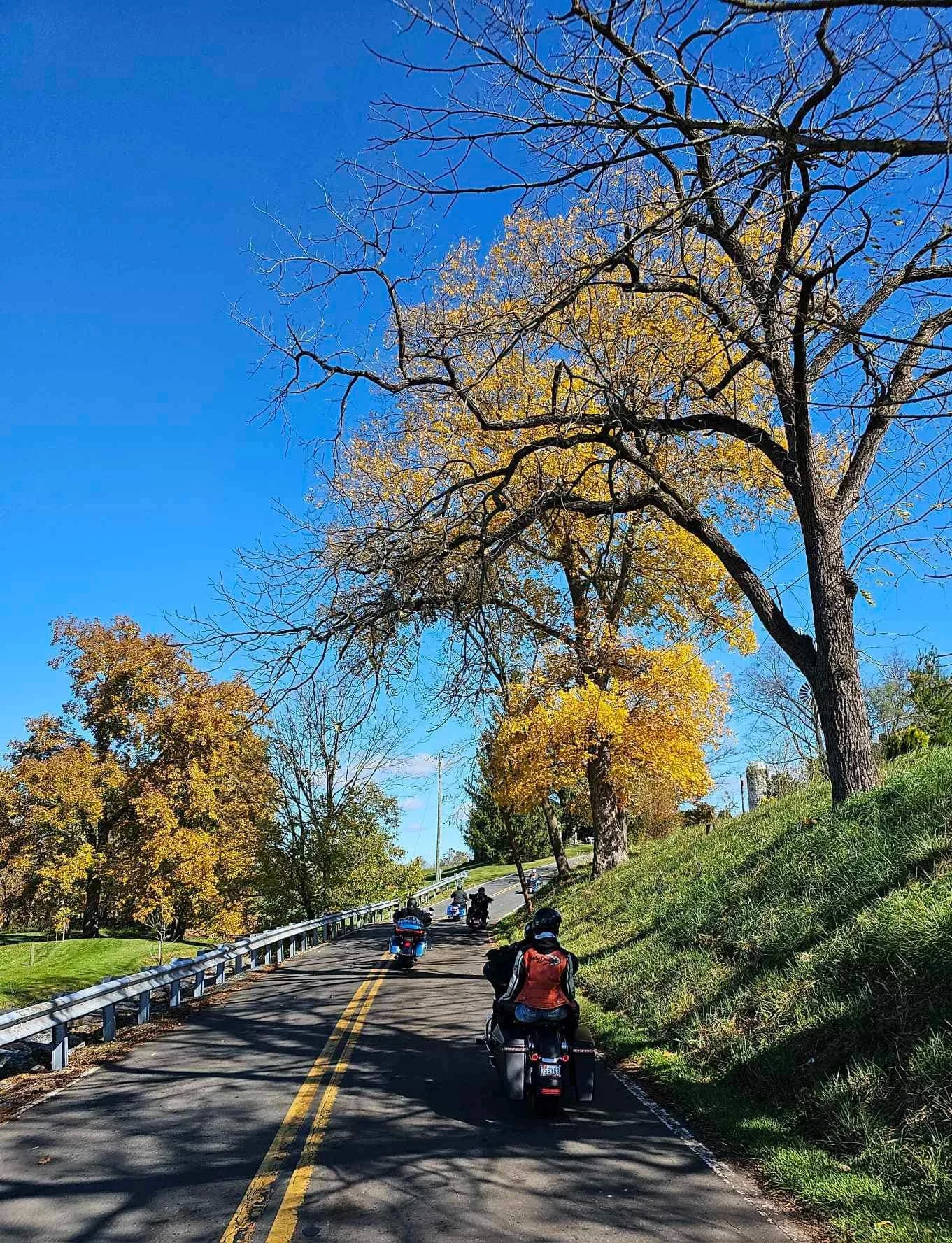 drf covered bridge run 70.jpeg