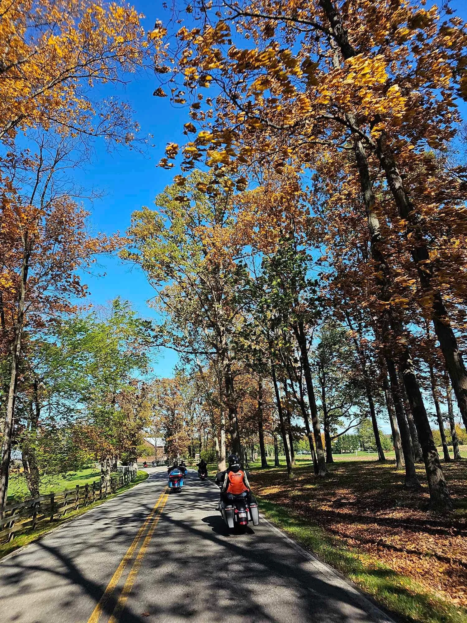 drf covered bridge run 85.jpeg