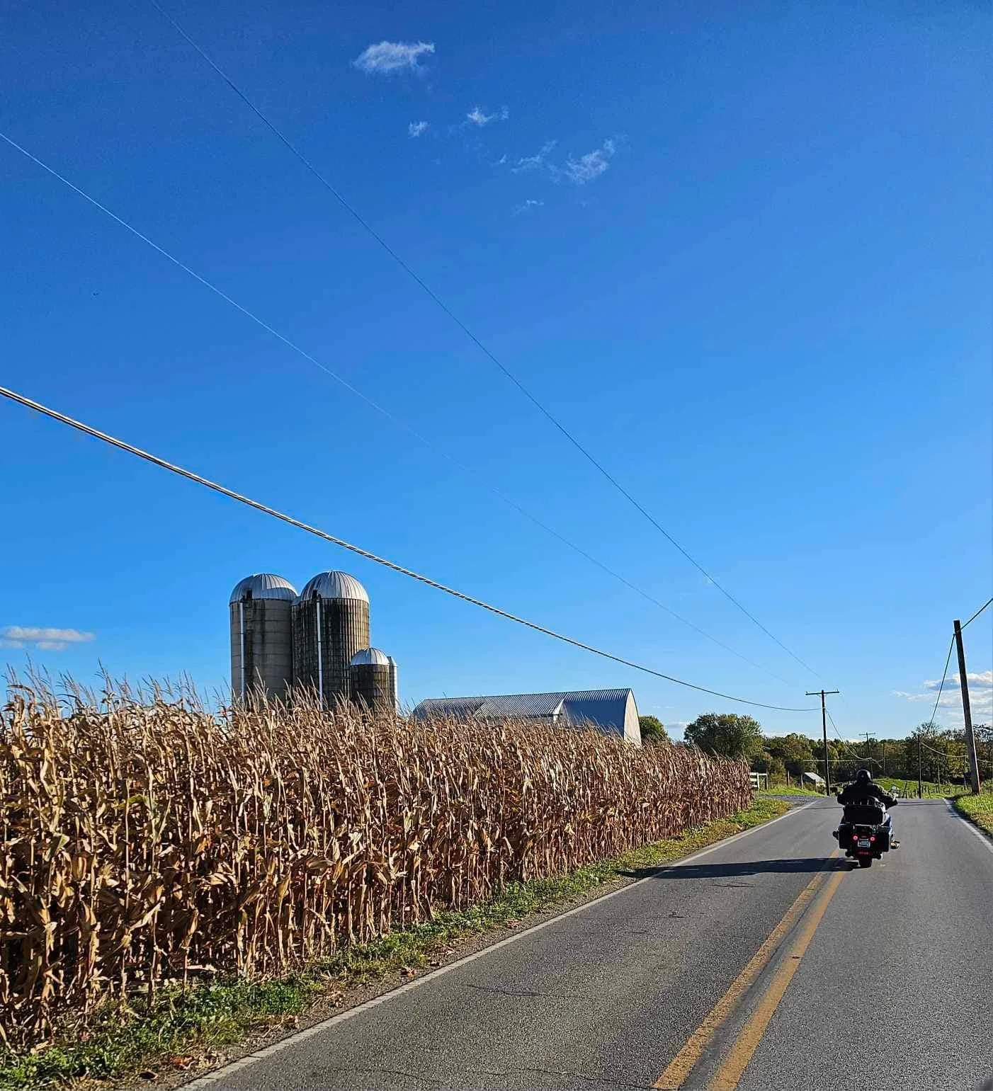 drf covered bridge run 190.jpeg