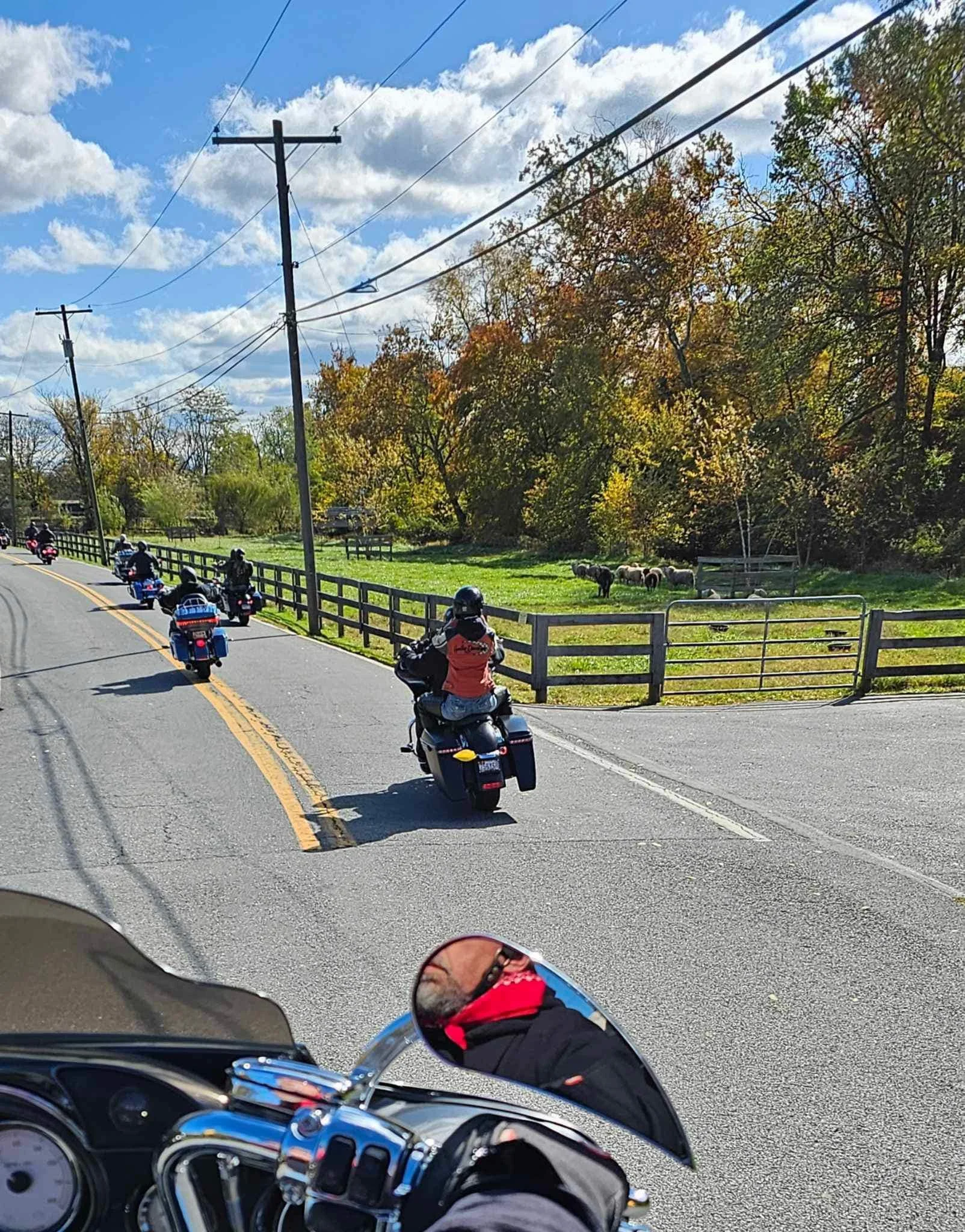 drf covered bridge run 2023 36.jpeg