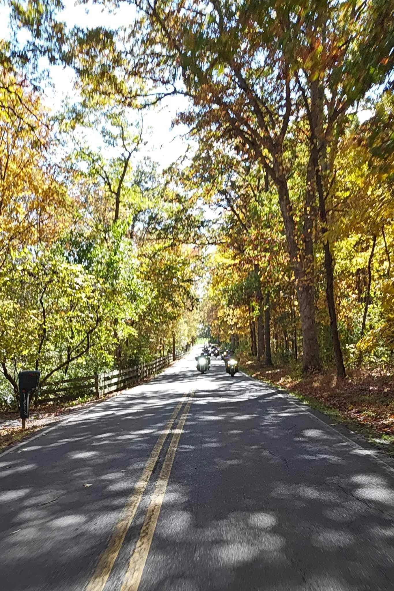 drf covered bridge run 83.jpeg
