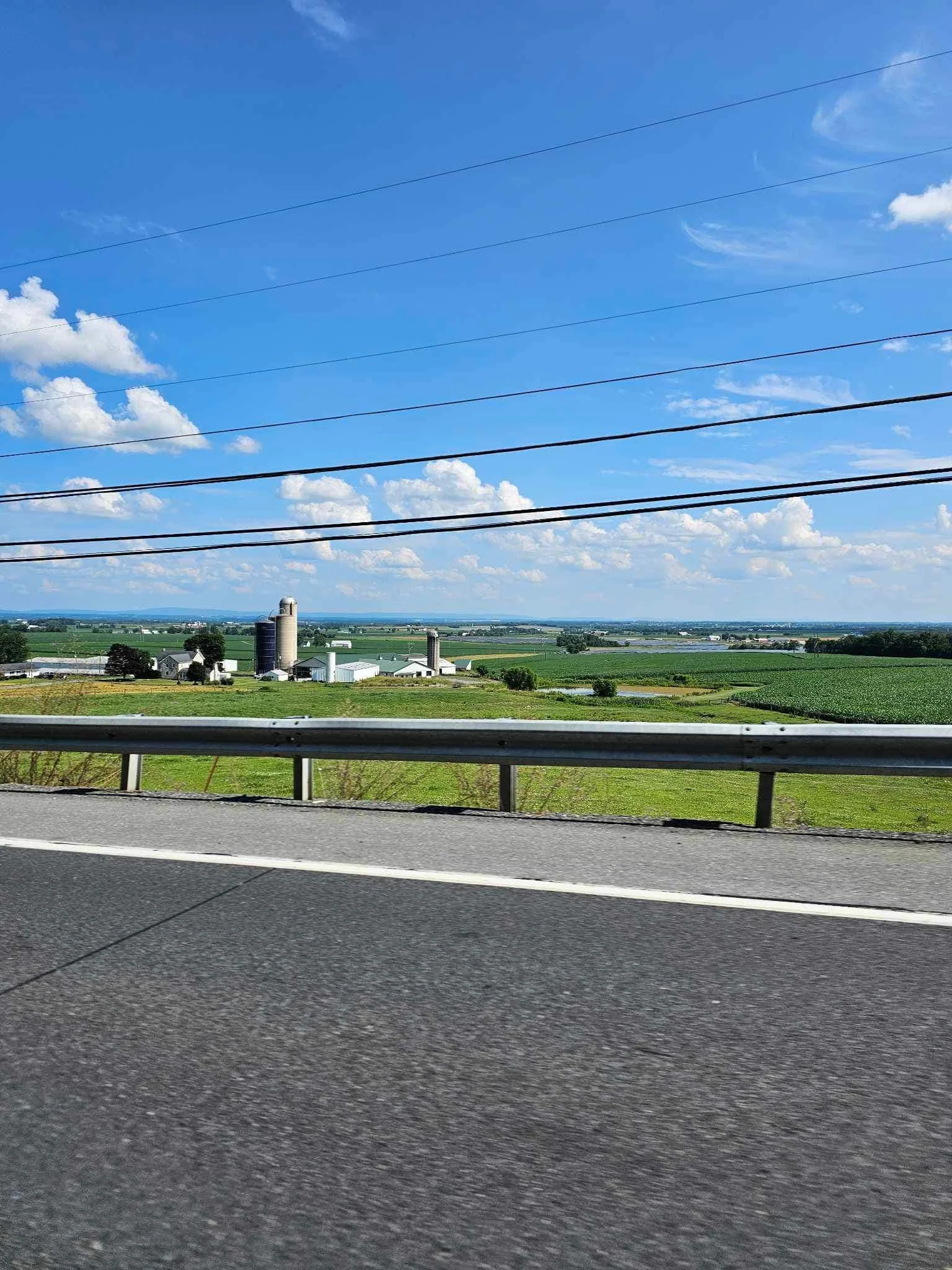 2023 DRF Scenic Run 62.jpeg