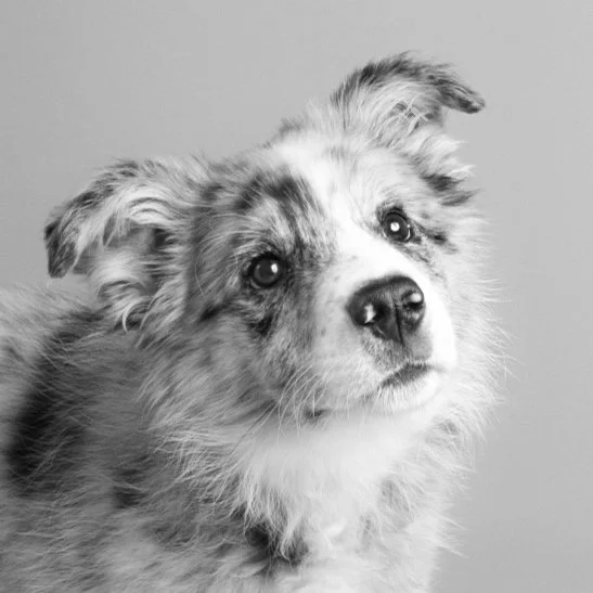 Screenshot 2024-05-30 at 21.01.44.jpg