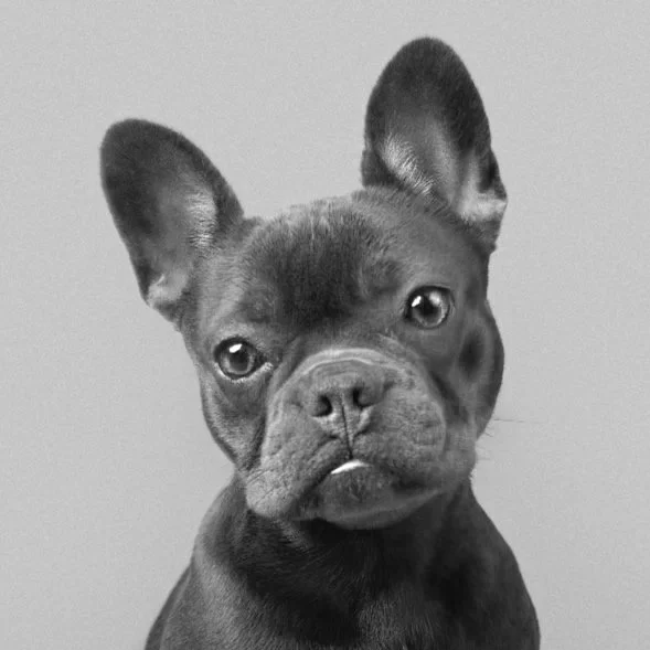 Screenshot 2024-05-30 at 21.10.41.jpg