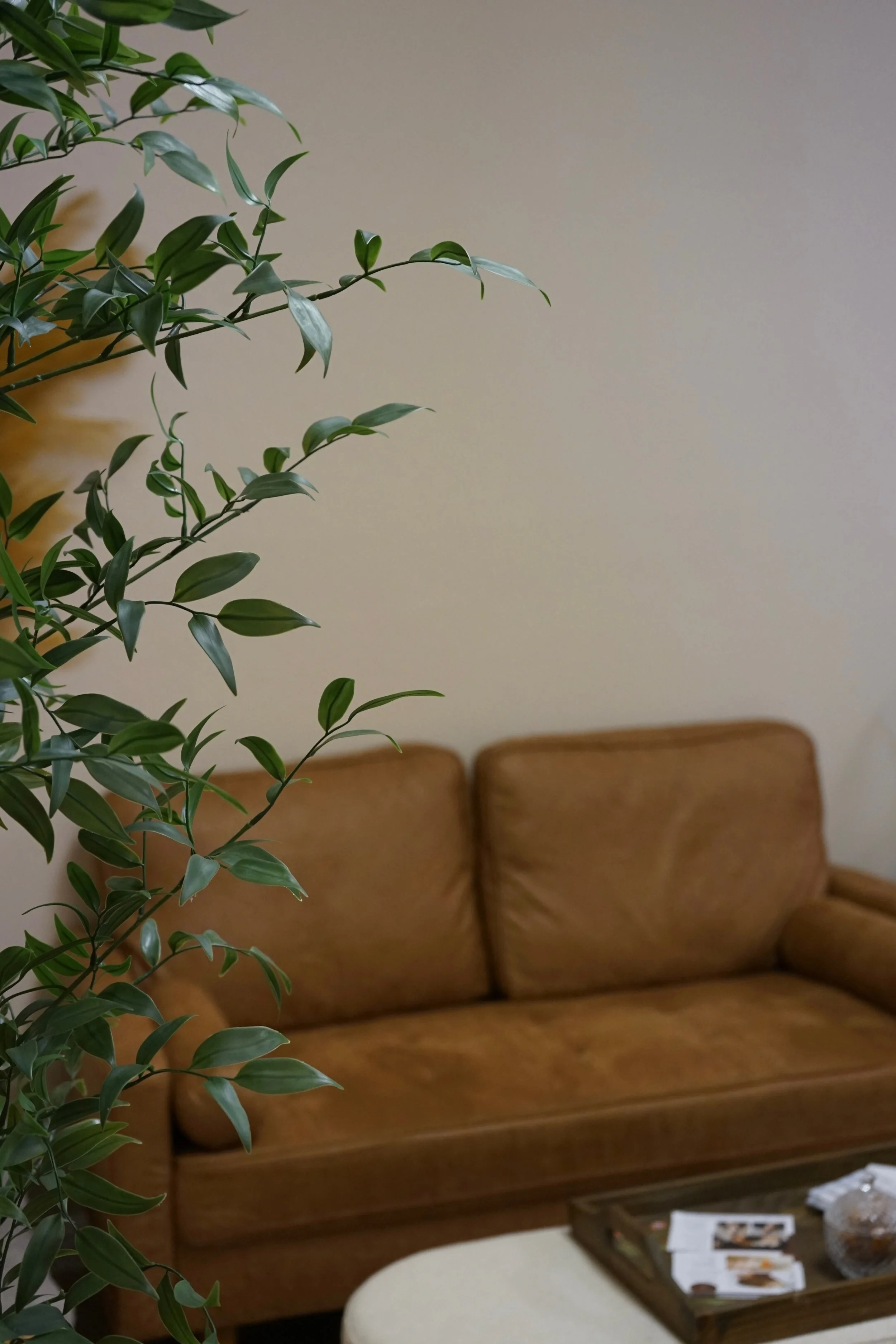 DSC02734.JPEG