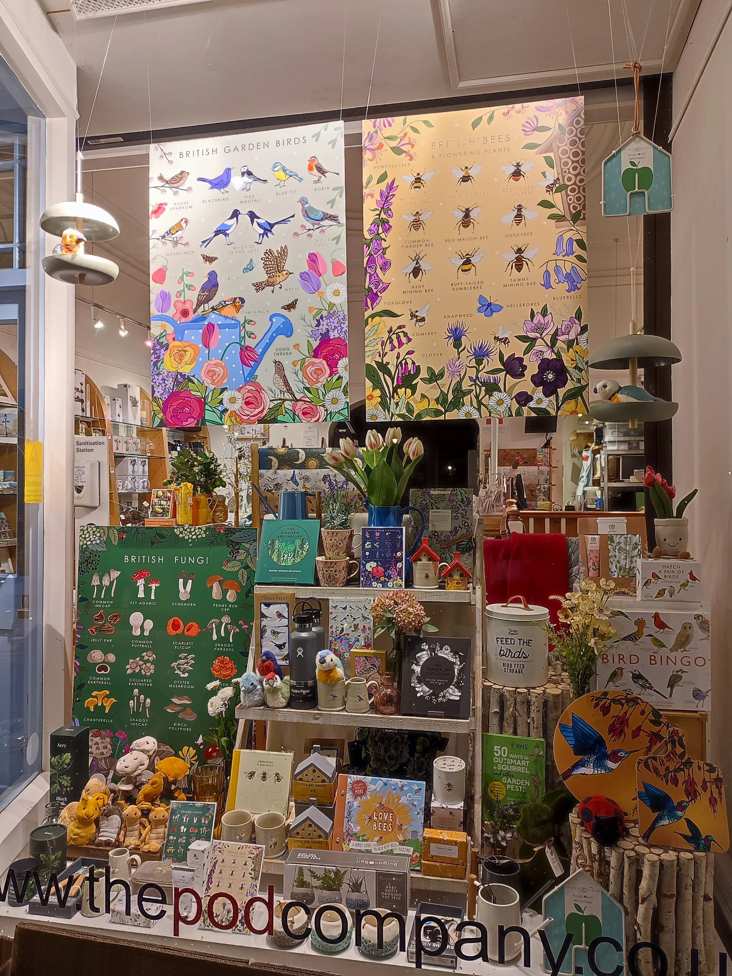 March Window Display Ideas
