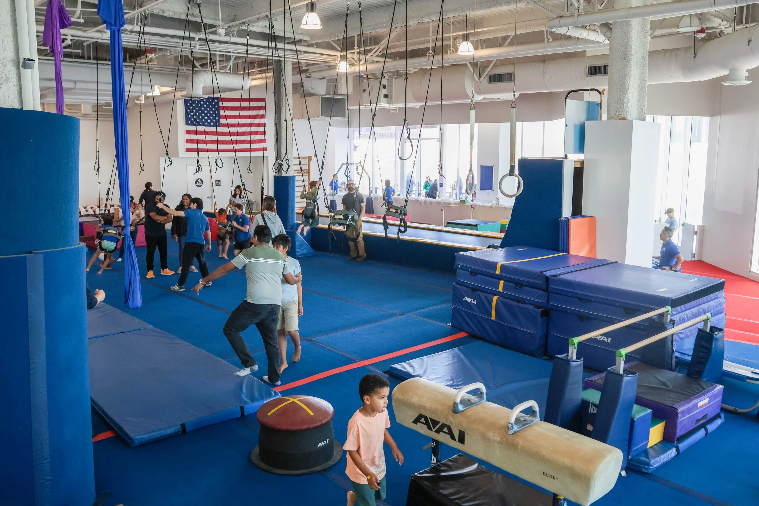 North County Gymnastics &amp; The Gyminny Kids: Best Gymnastics Gym in La Jolla (UTC)