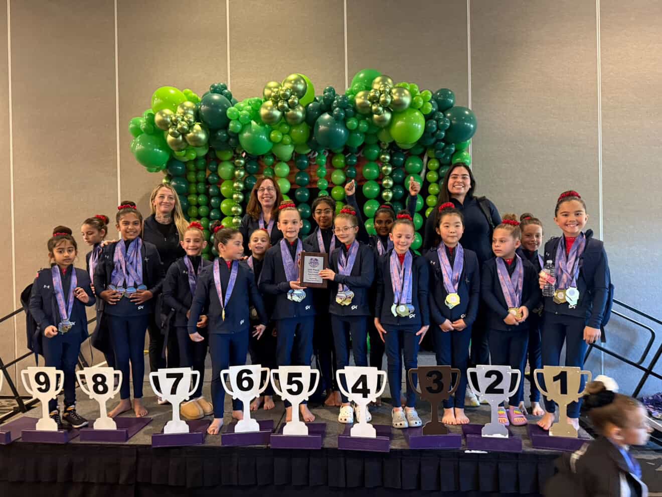 Medal Avalanche: North County Gymnastics Claims Over 110 Gold Medals!