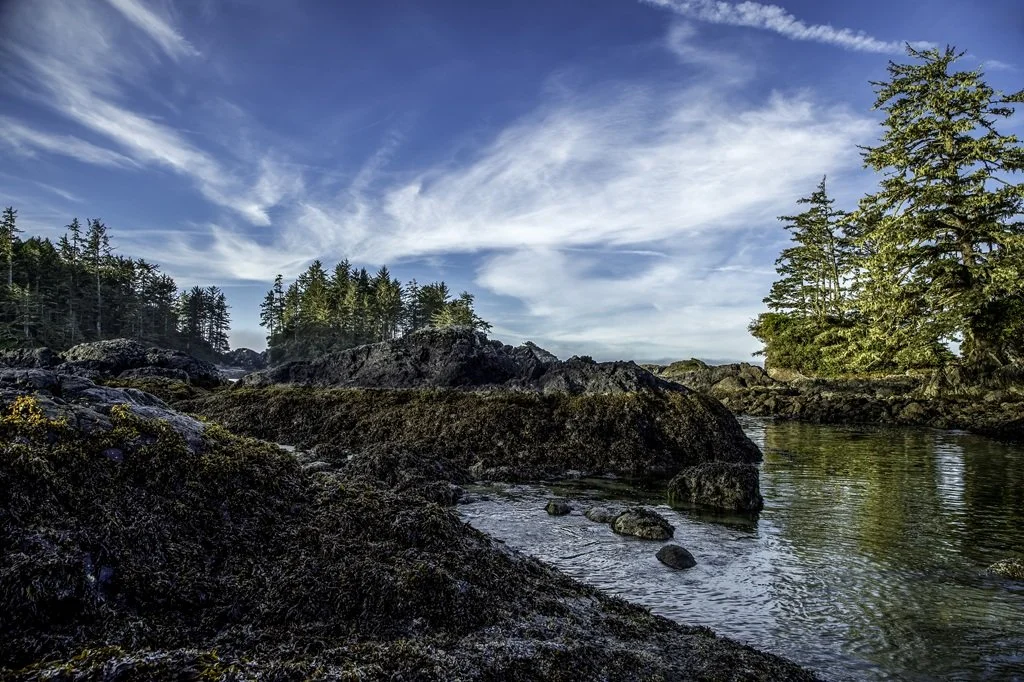 A peaceful ocean inlet flowing through a rocky landscape with evergreen trees on both sides and a bright blue sky with wispy clouds overhead.
