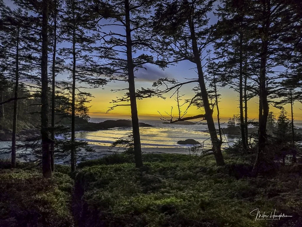 Sunset over the ocean with trees in the foreground. The sky is colorful with shades of blue, orange, and yellow. The scene is viewed through a forest on a beach.