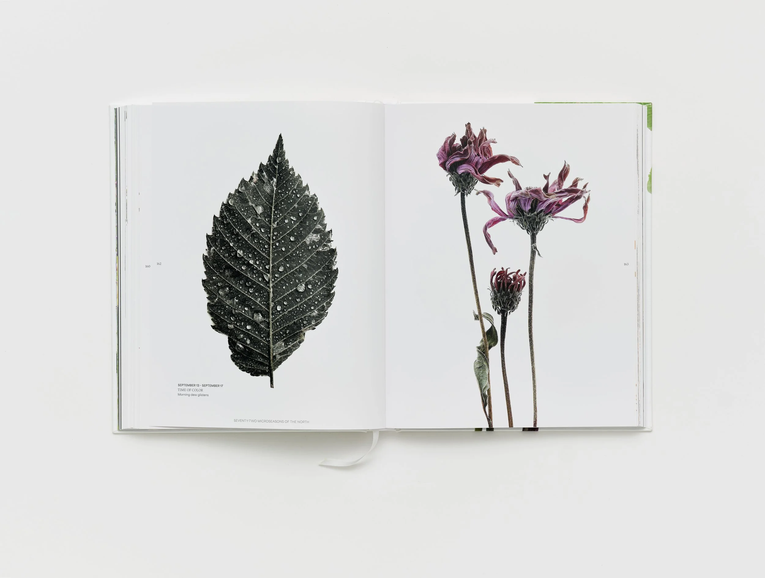 Still_designStillRoom_photoBricaWilcox_spreads37.jpg