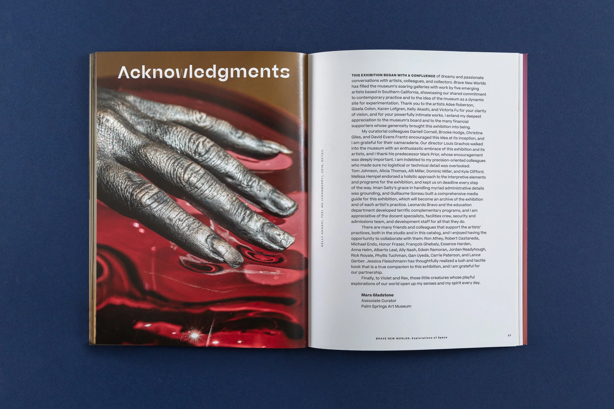 BraveNewWorlds_pg36-37_Acknowledgements_stillroom_IanByersGamber.jpg