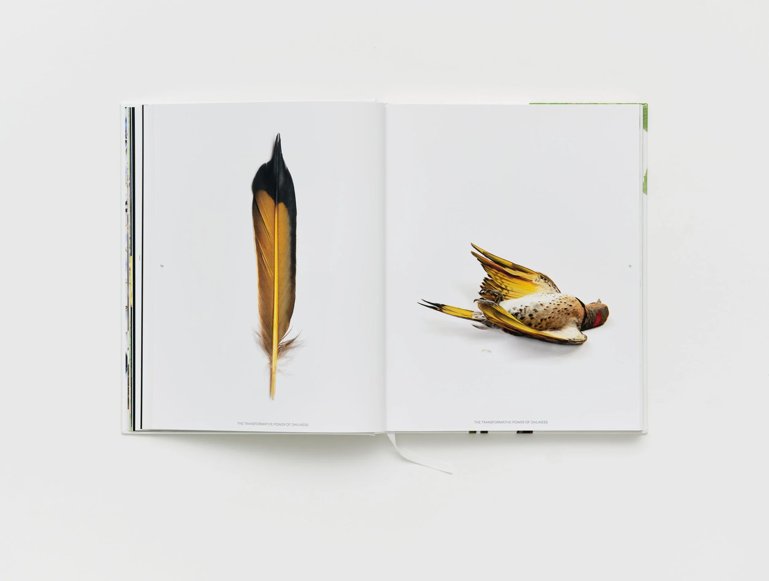Still_designStillRoom_photoBricaWilcox_spreads16.jpg