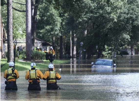 Disaster Recovery & Federal