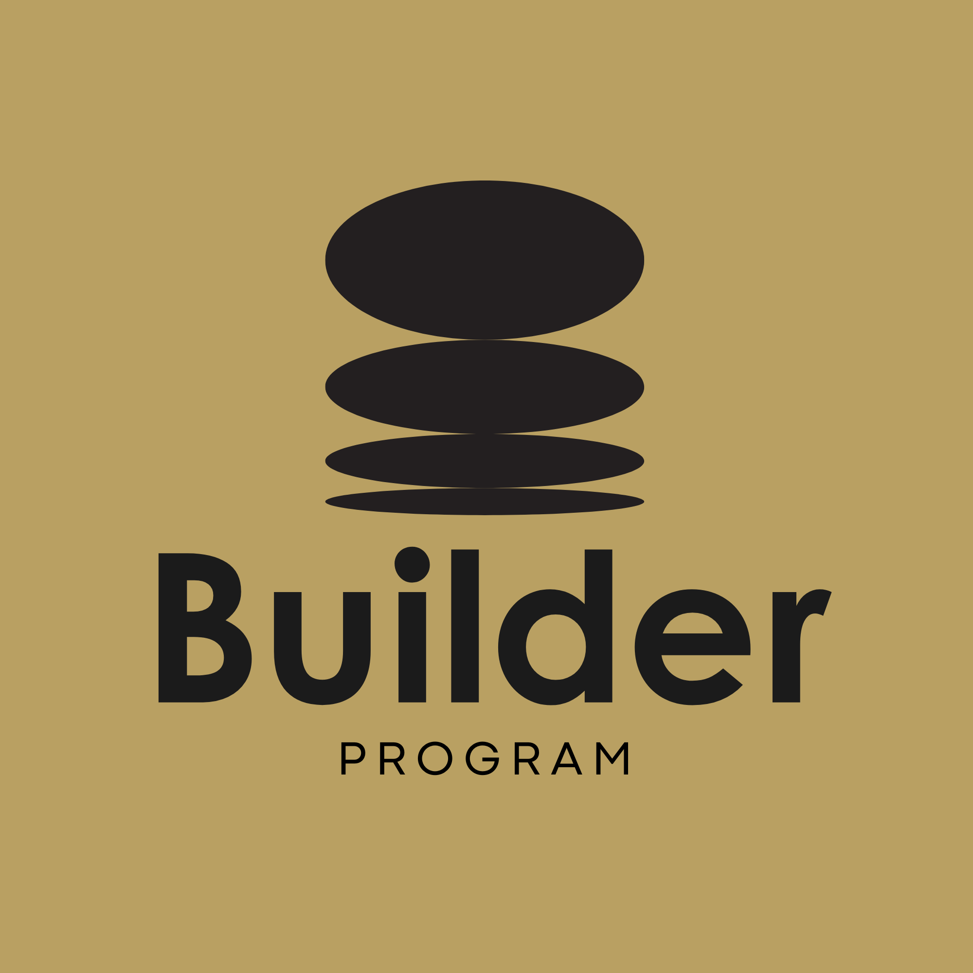 Vanderbilt University - Builder Program