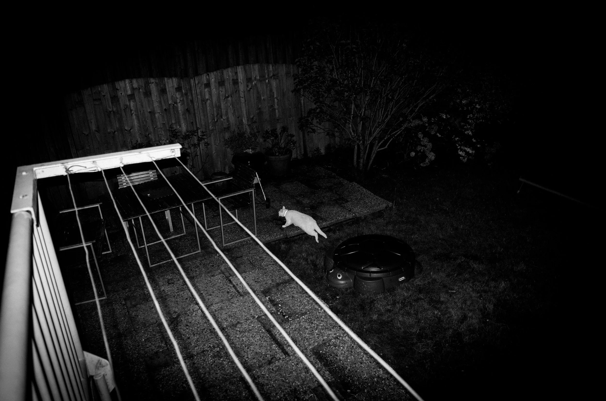 Andreas Ott Photography This is private.jpg