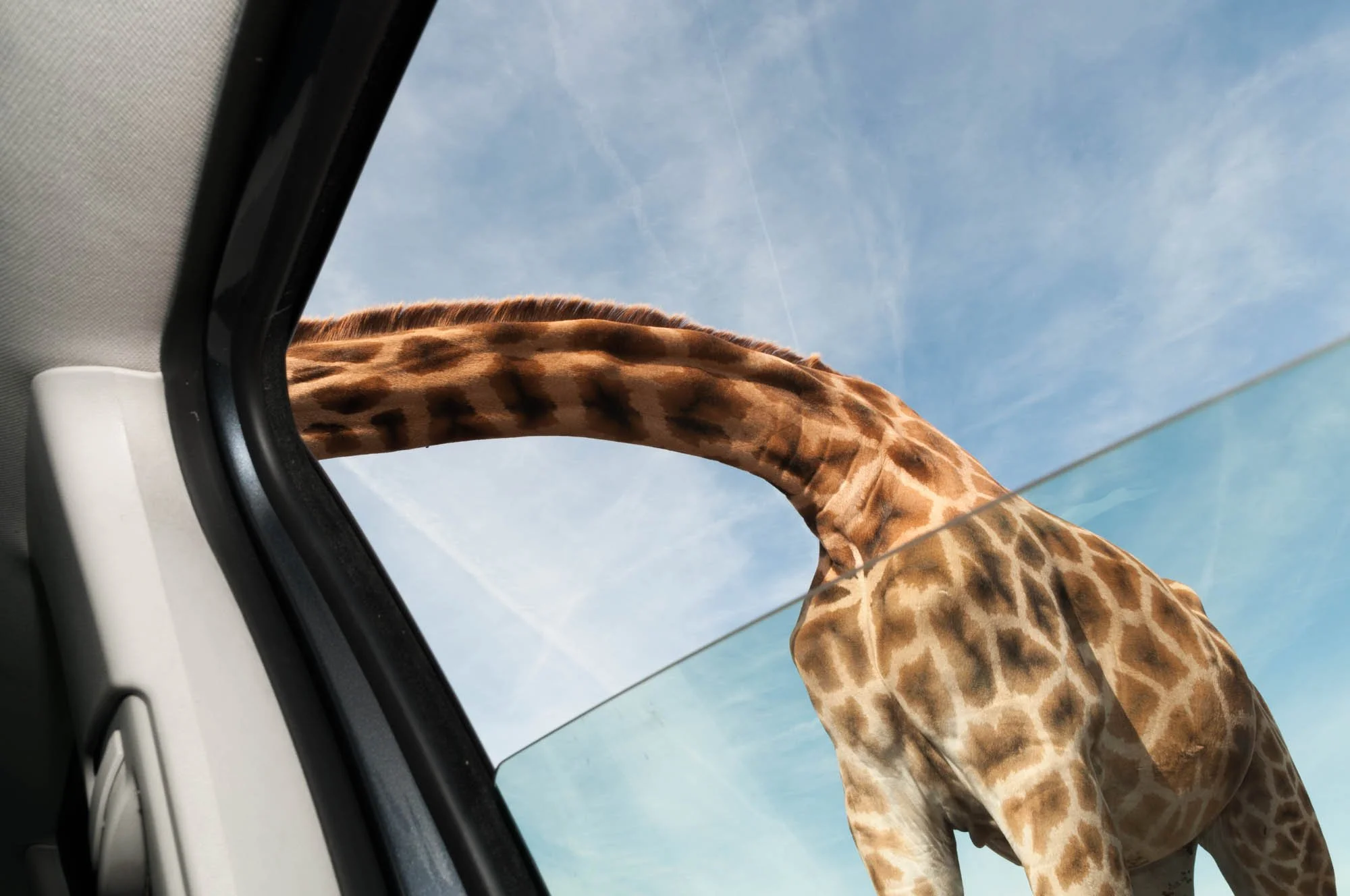 Andreas Ott Street Photography.jpg