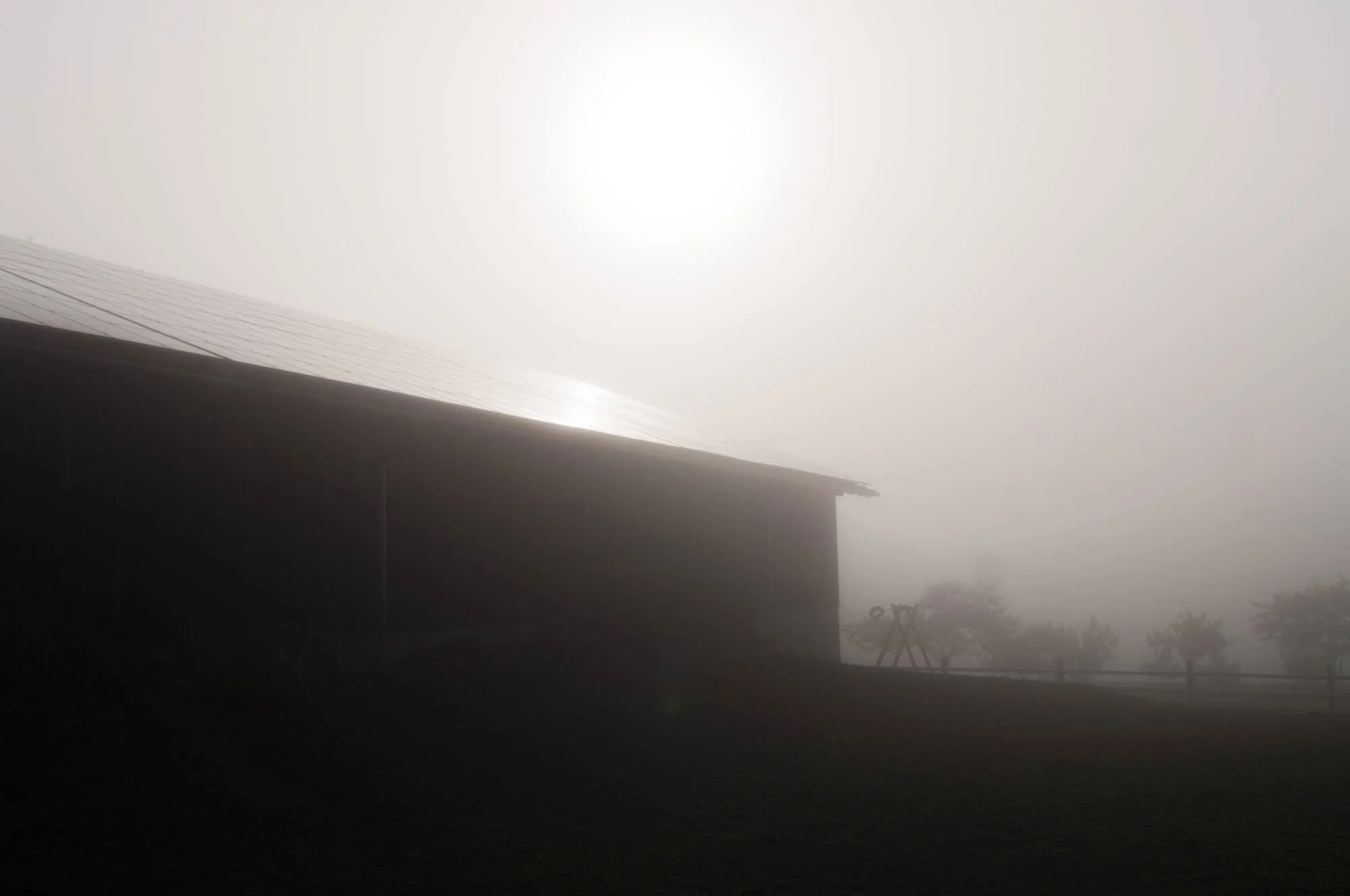 Andreas Ott Photography 452.jpg