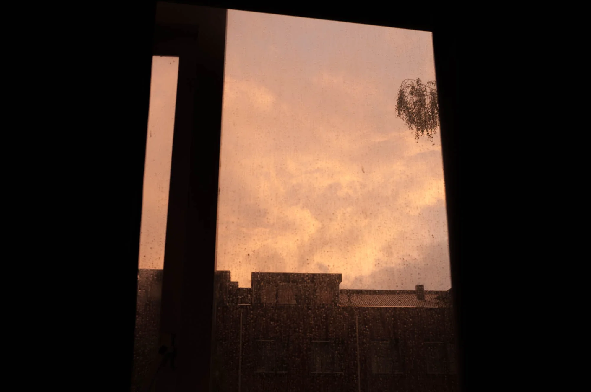 Andreas Ott Photography 445.jpg