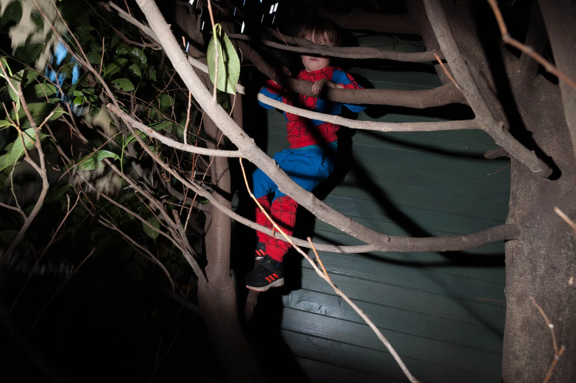 Andreas Ott Photography 447.jpg