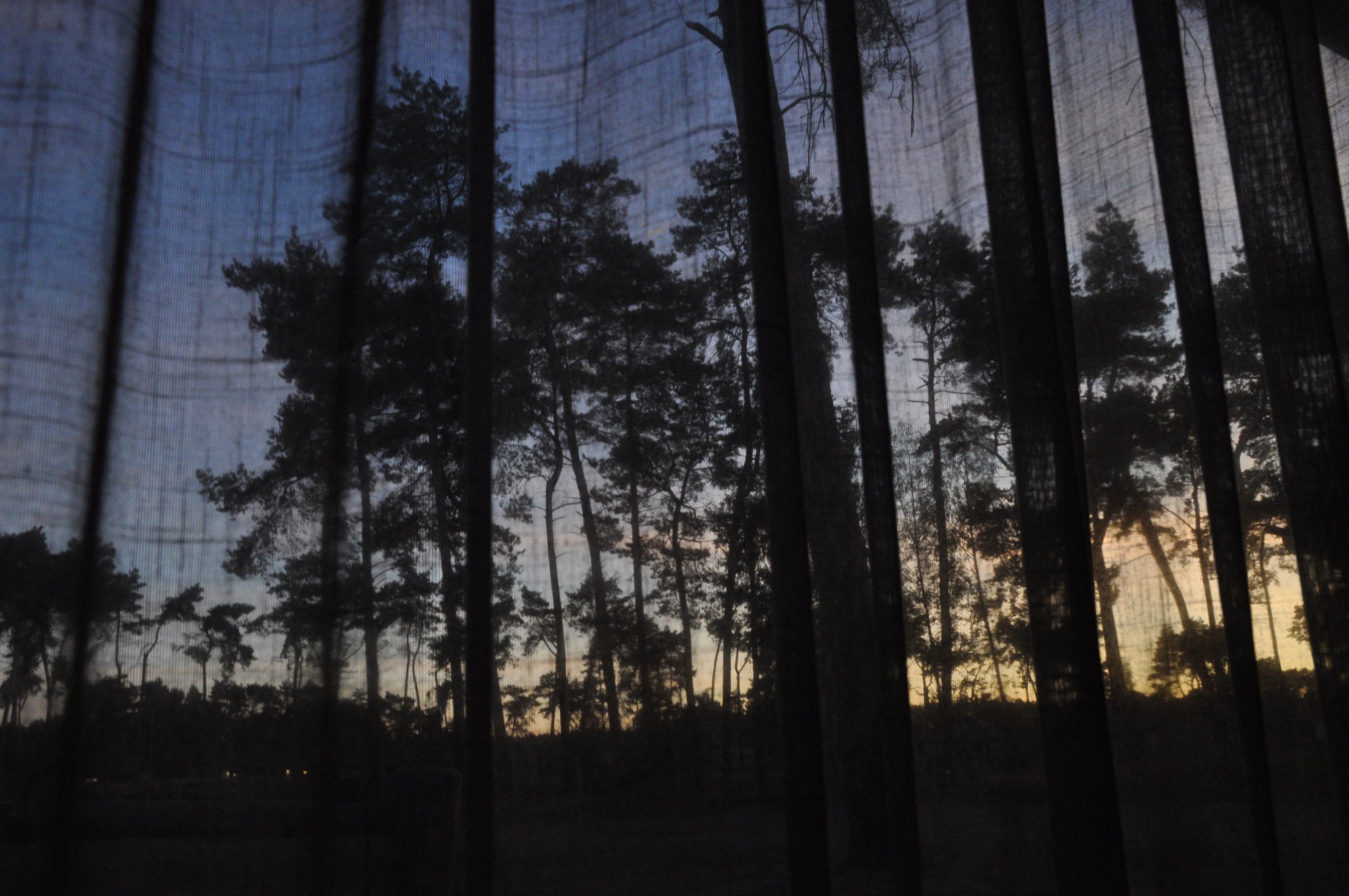 Andreas Ott DSC_3641.JPG