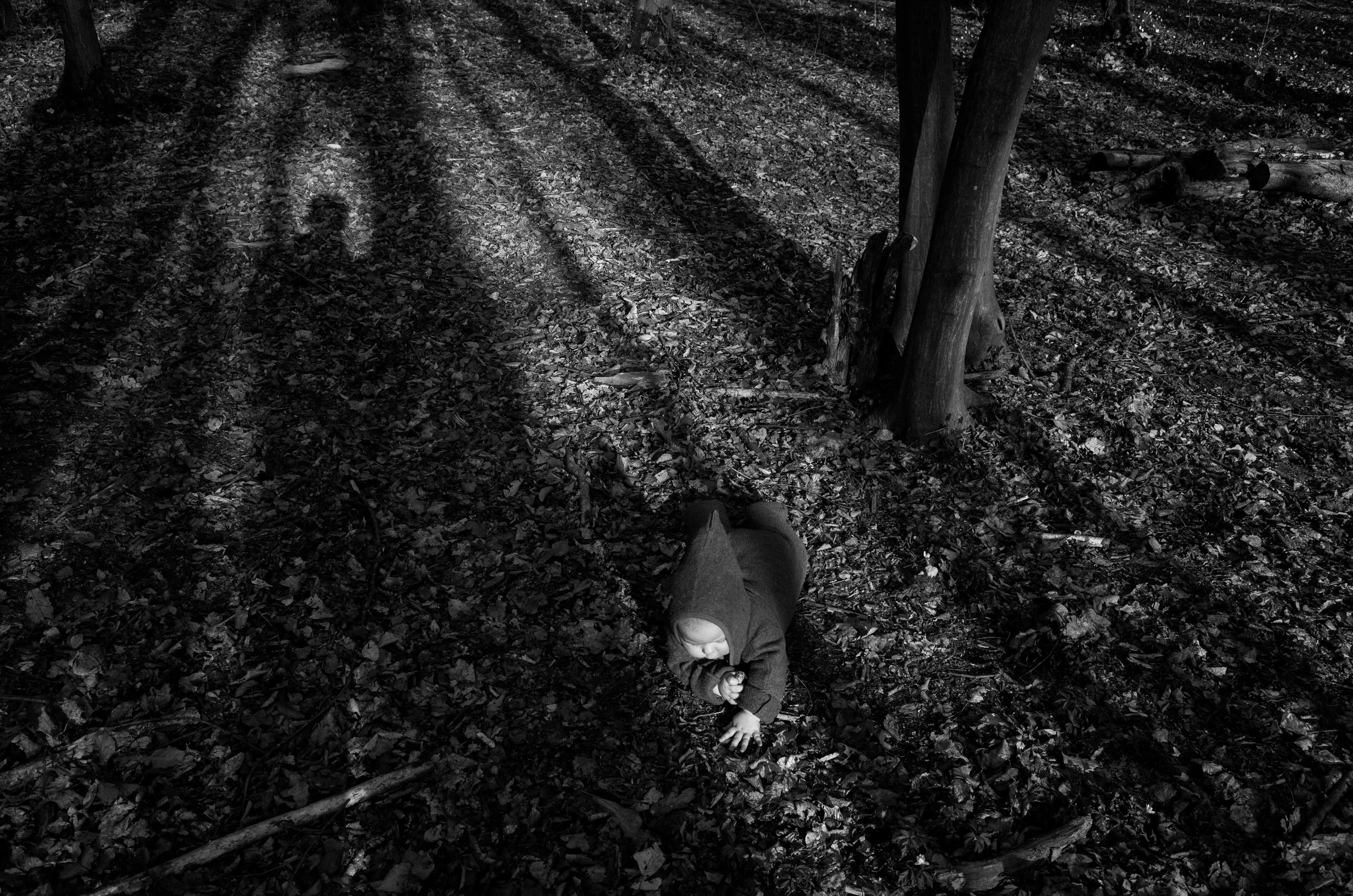 Andreas Ott GR030651.jpg