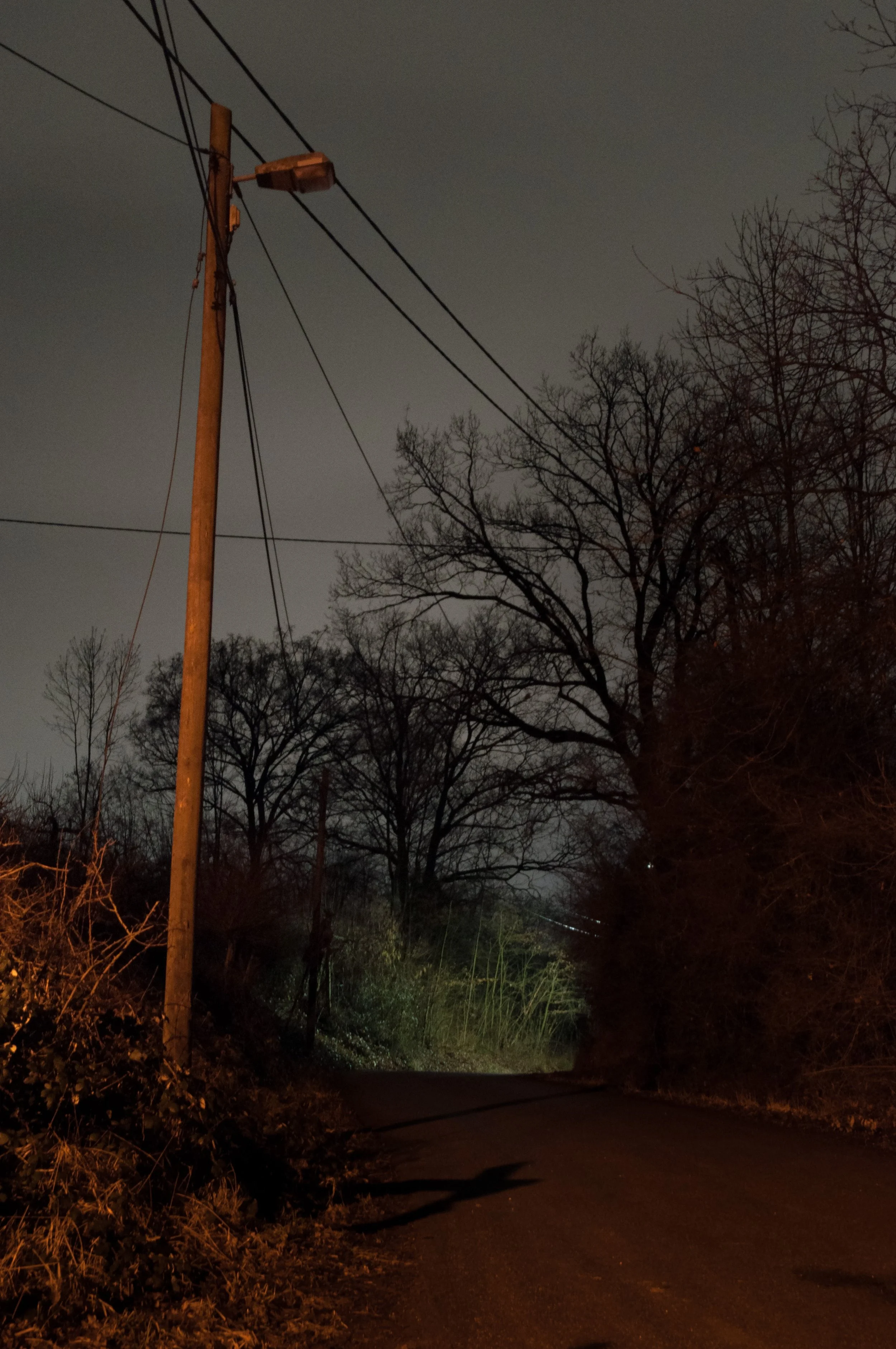 Andreas Ott DSC_0943.jpg