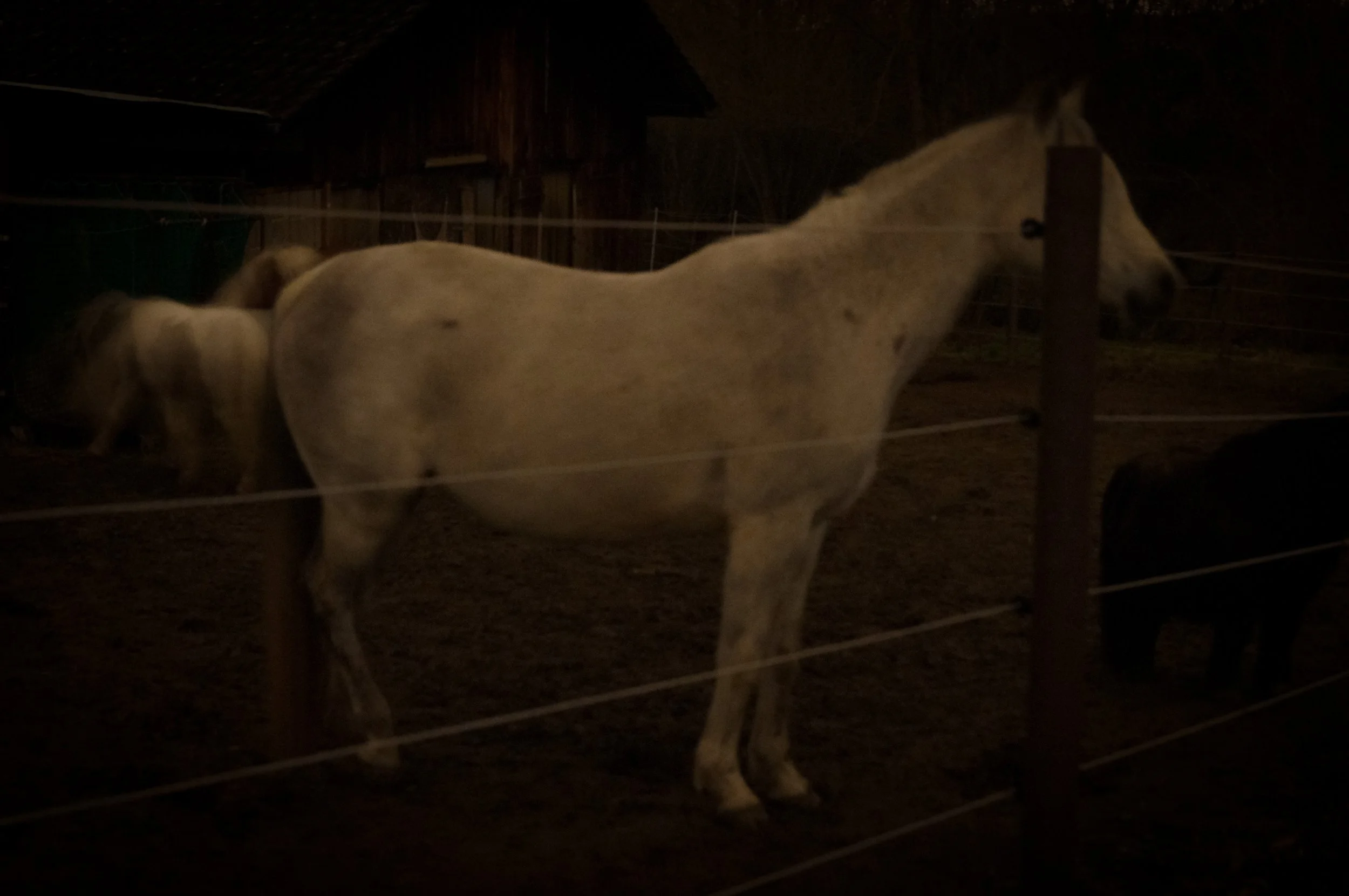 Andreas Ott DSC_0954.jpg