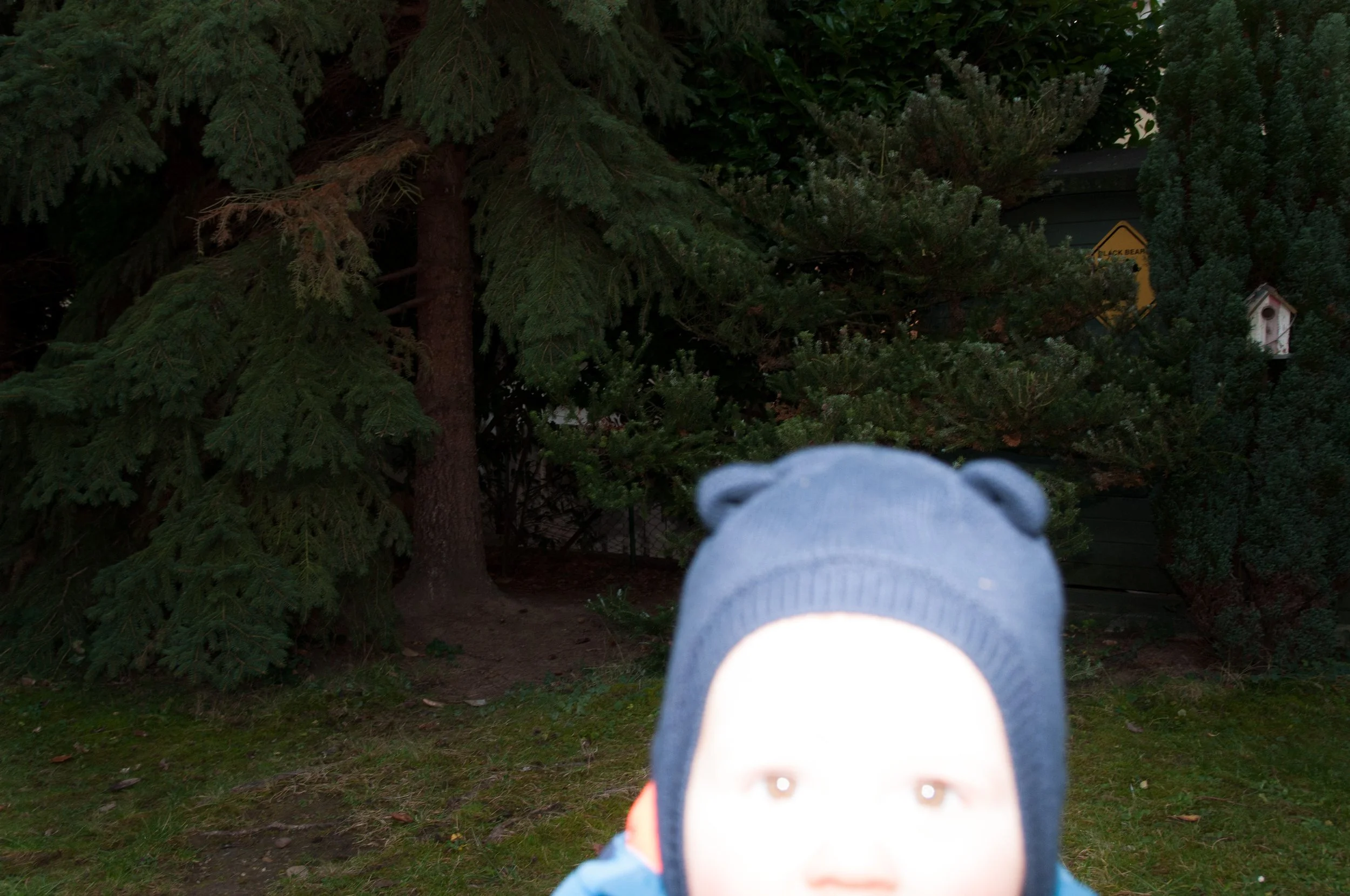 Andreas Ott DSC_7412.jpg