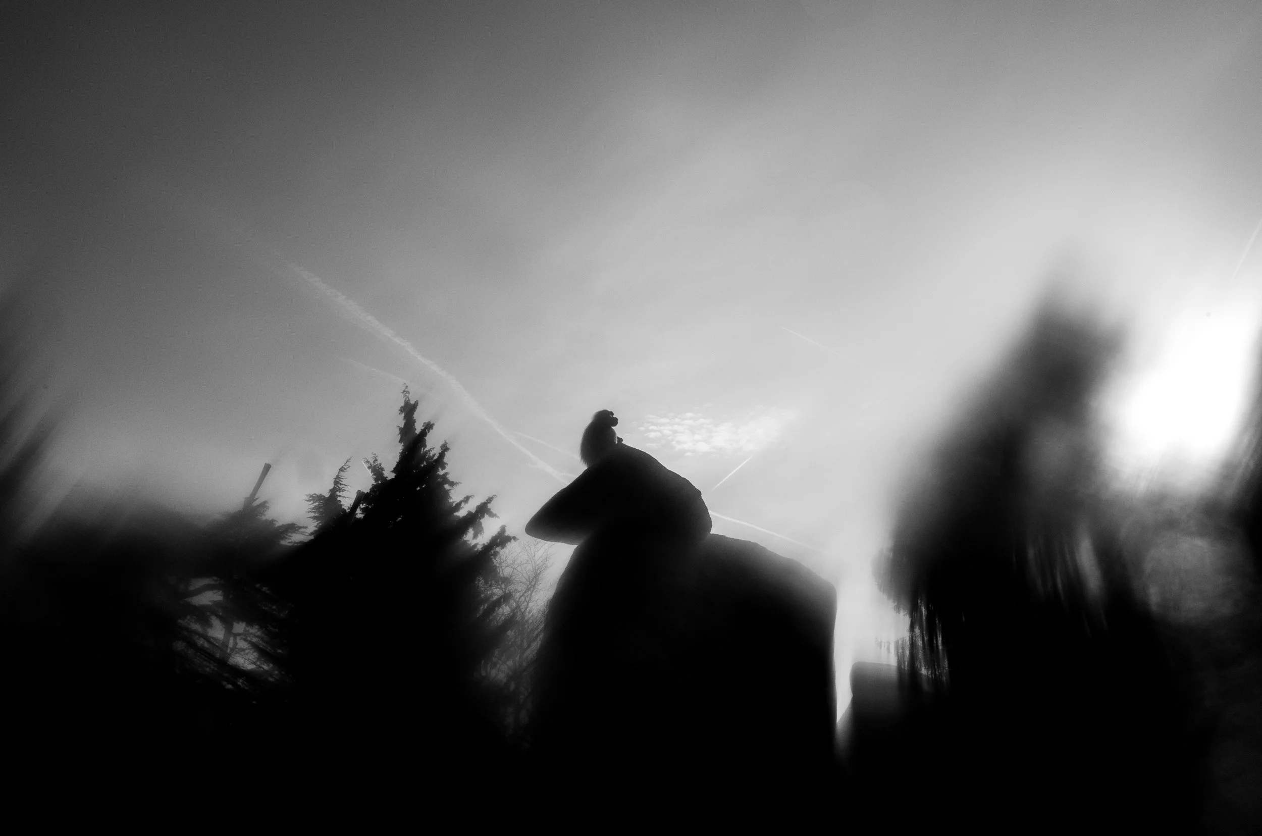 Andreas Ott R0041055.jpg