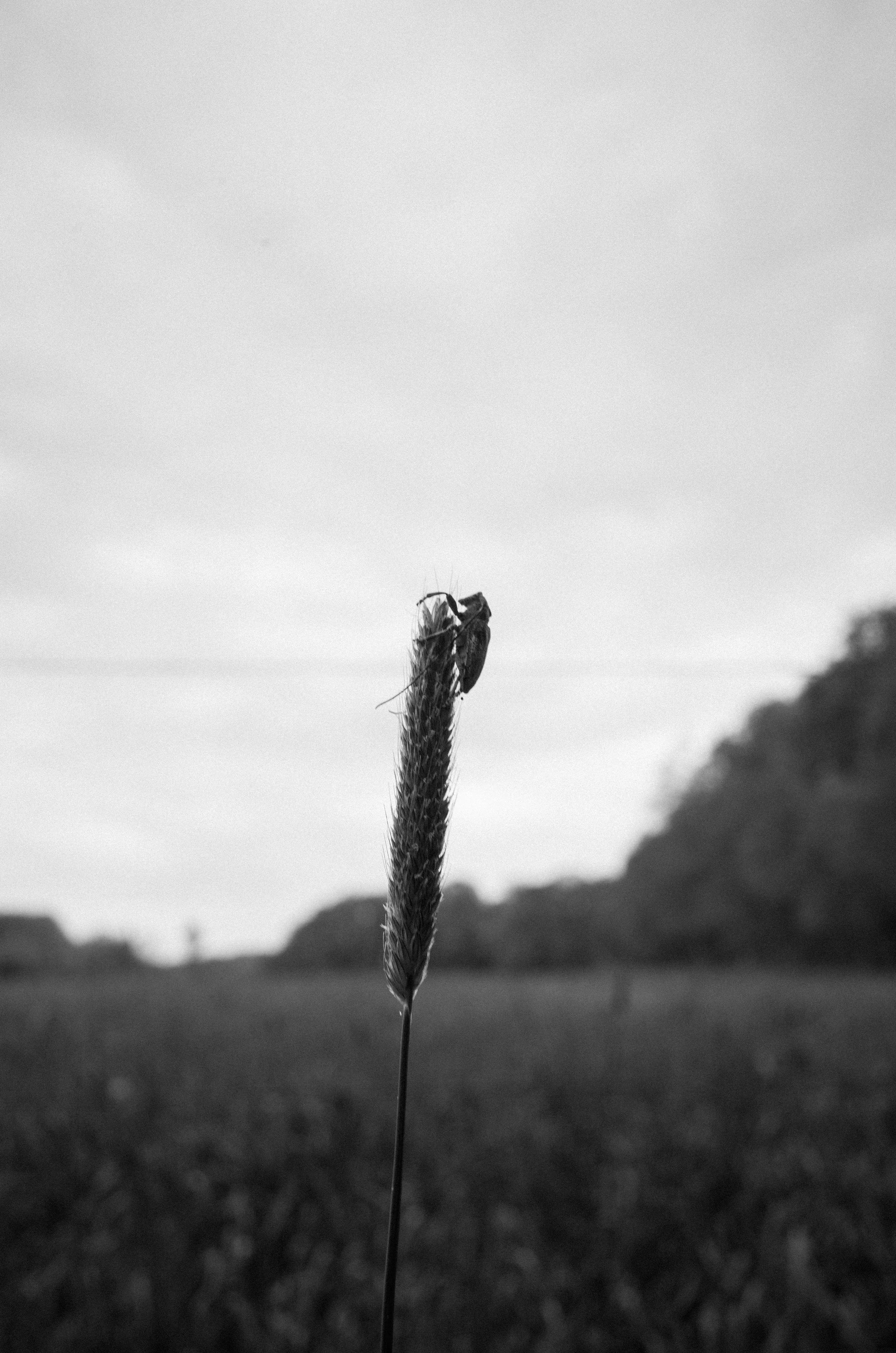 Andreas Ott GR141978.jpg